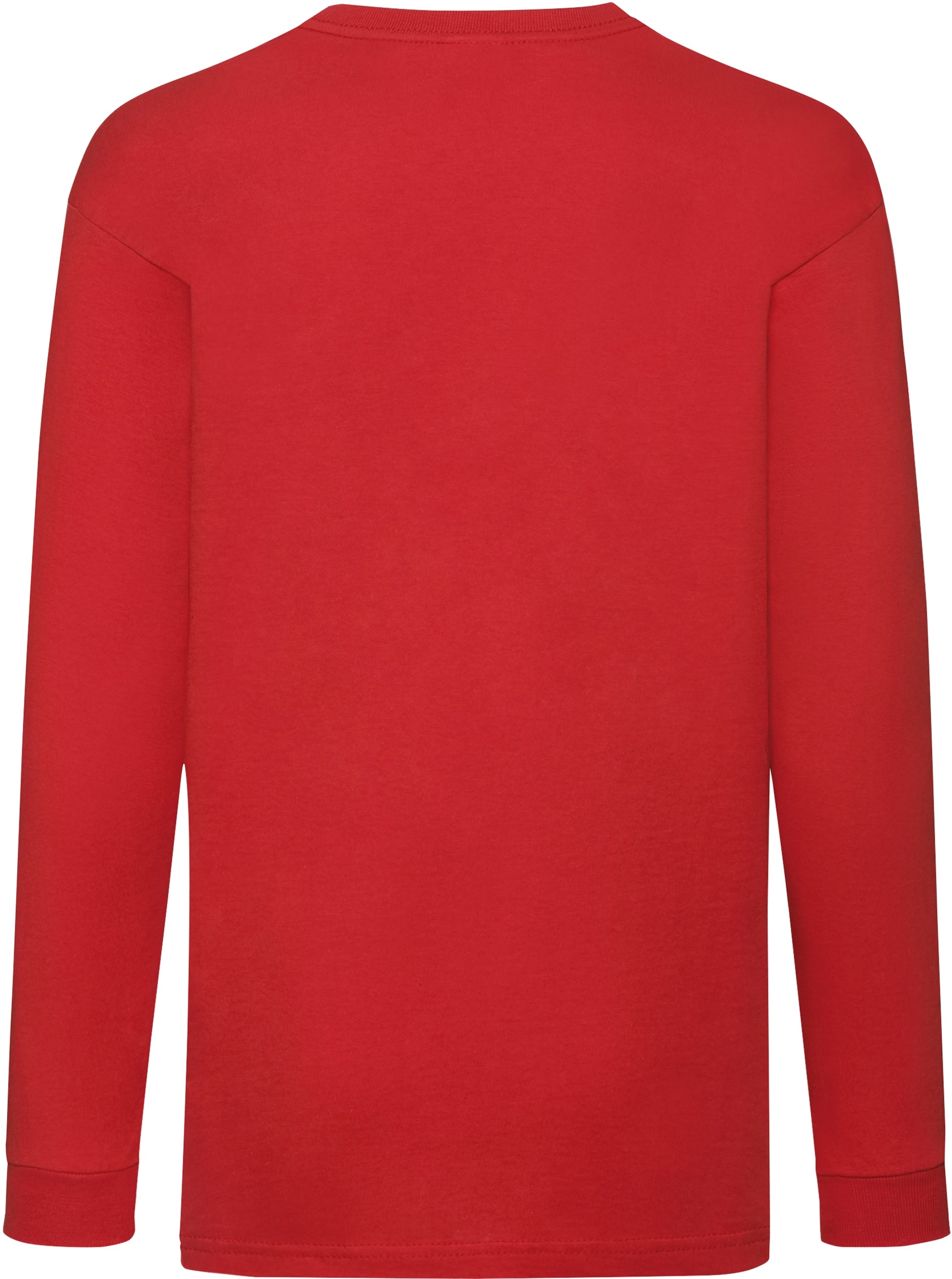 Kids Longsleeve Valueweight T