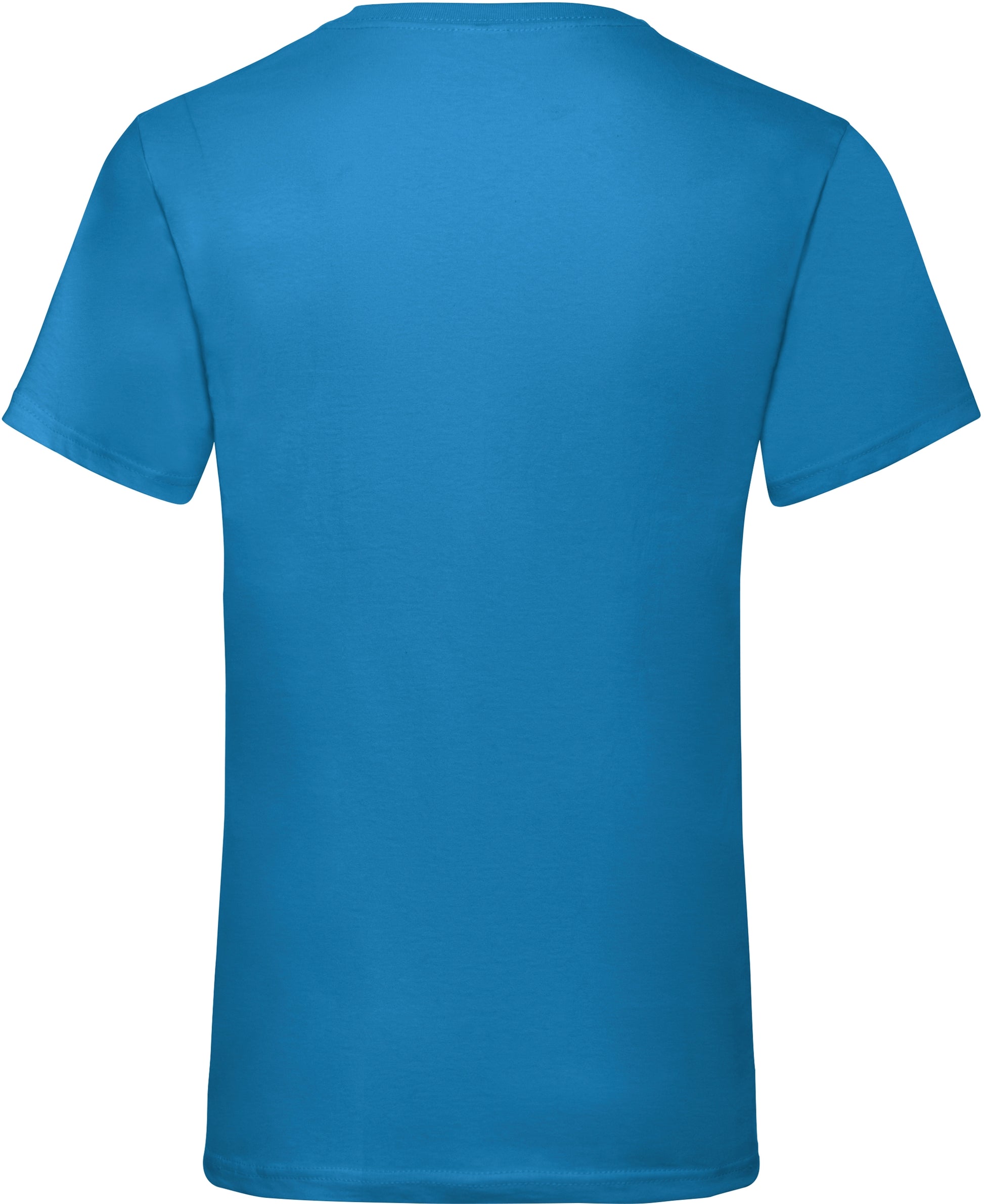 Valueweight V-Neck T