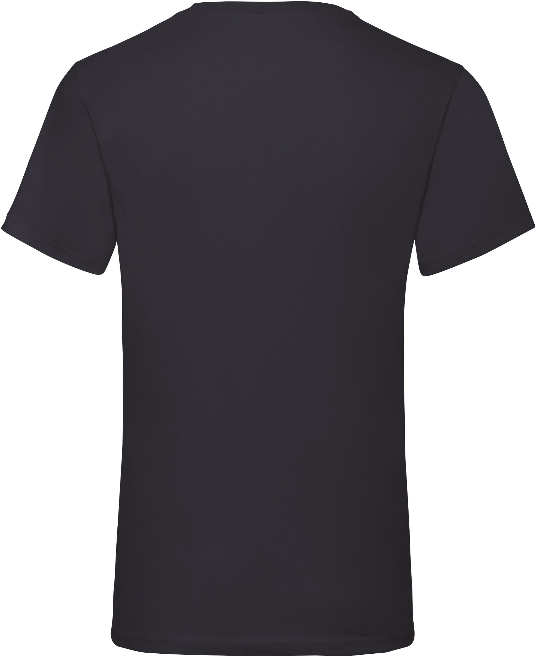 Valueweight V-Neck T