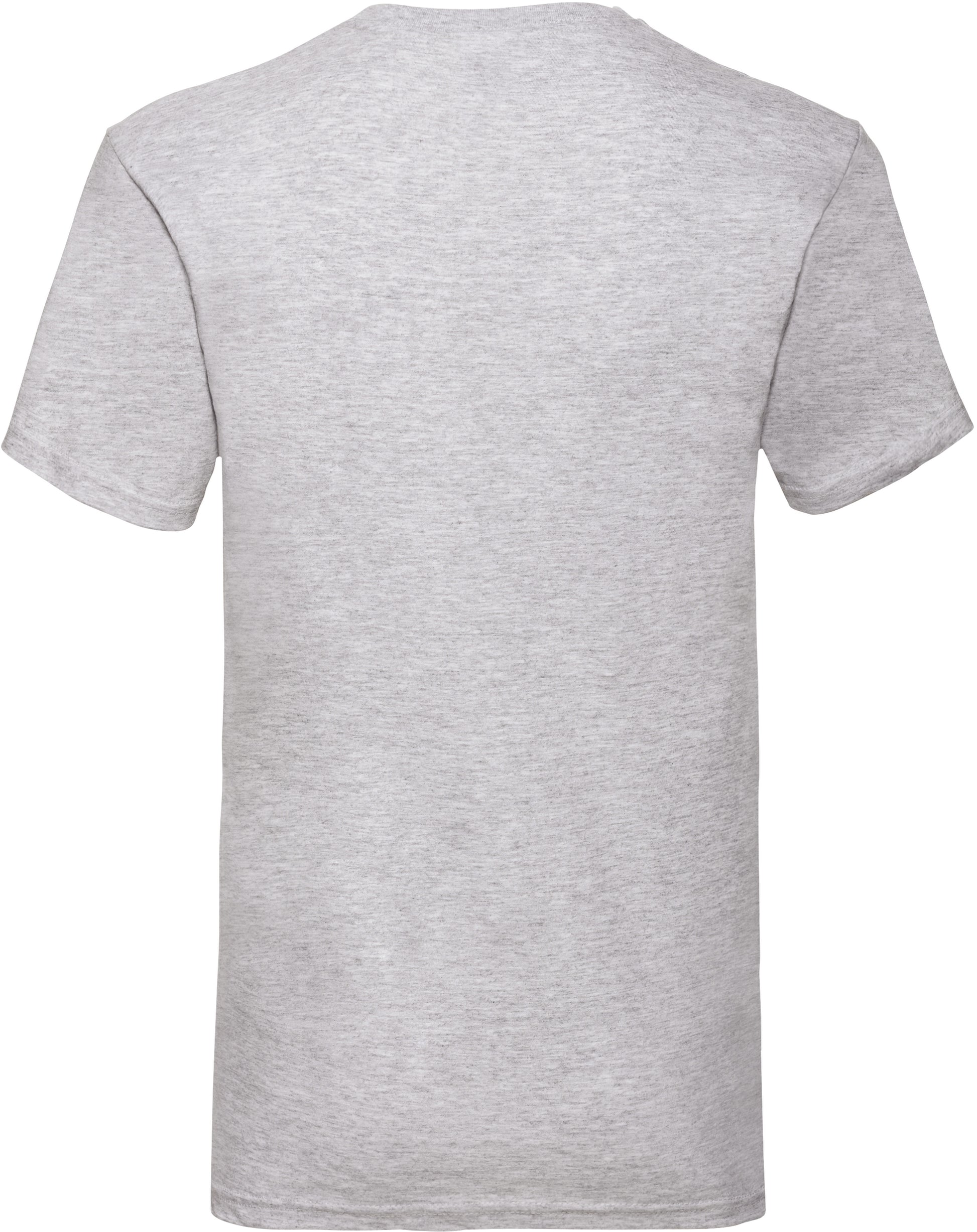 Valueweight V-Neck T