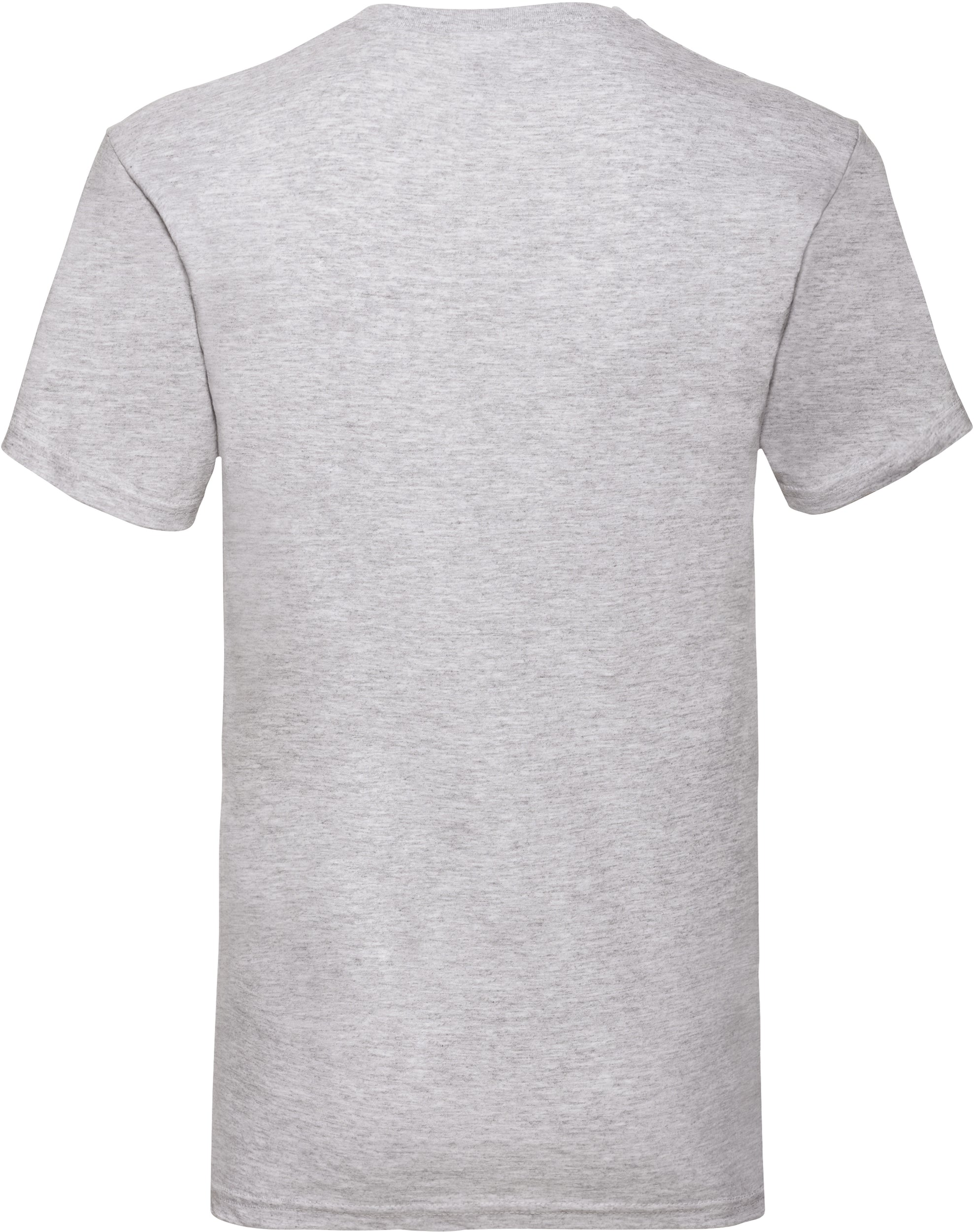 Valueweight V-Neck T