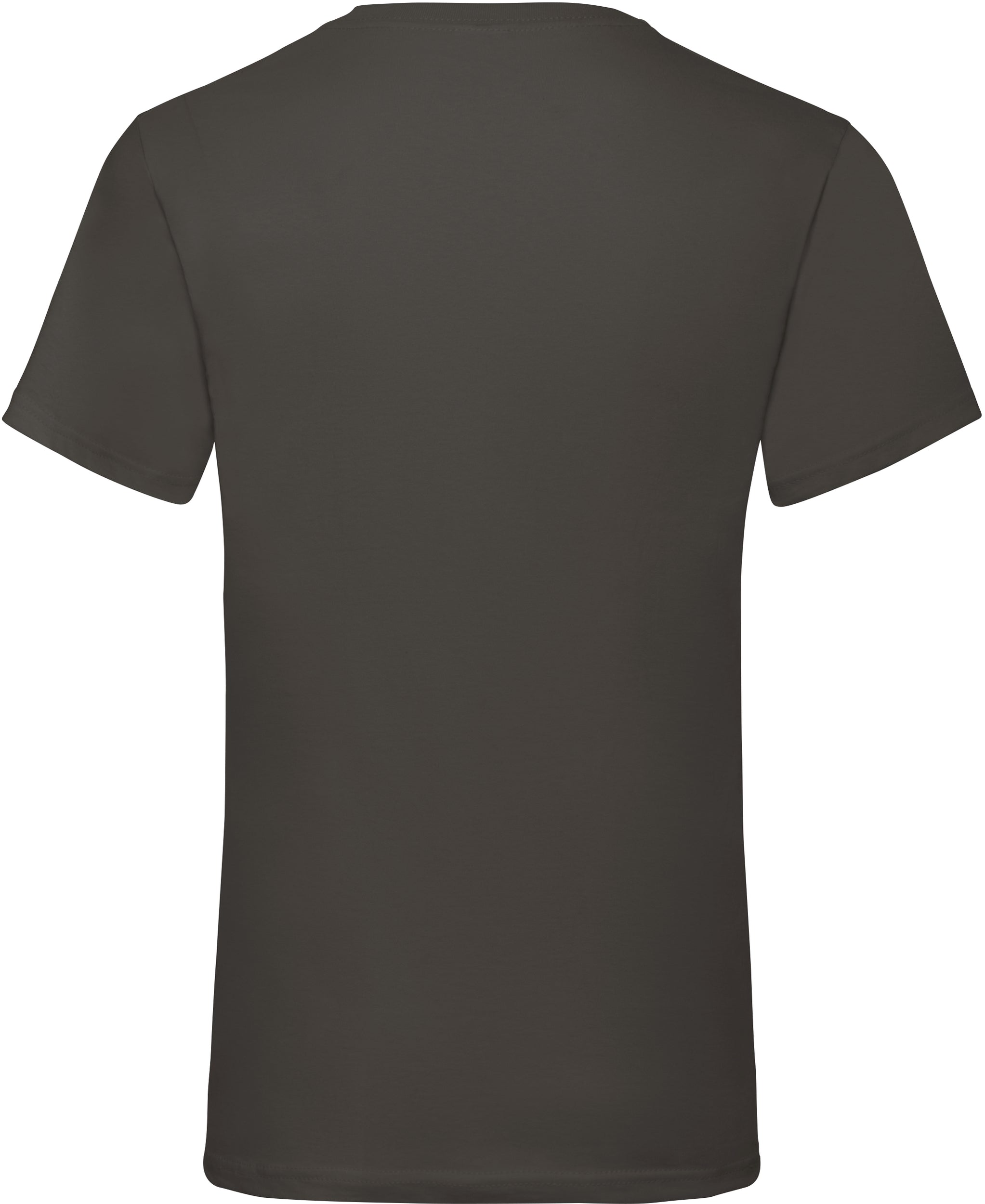 Valueweight V-Neck T