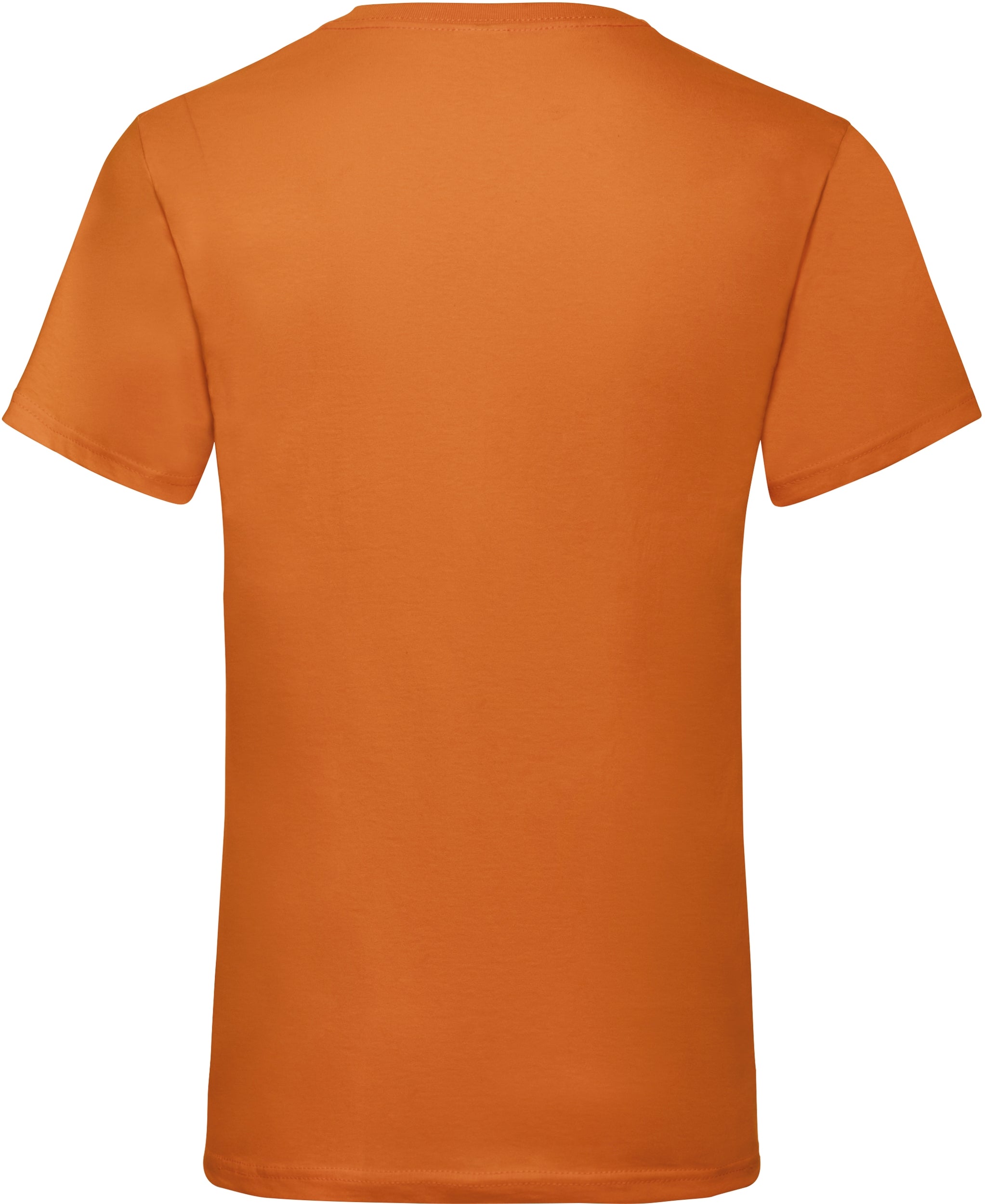 Valueweight V-Neck T