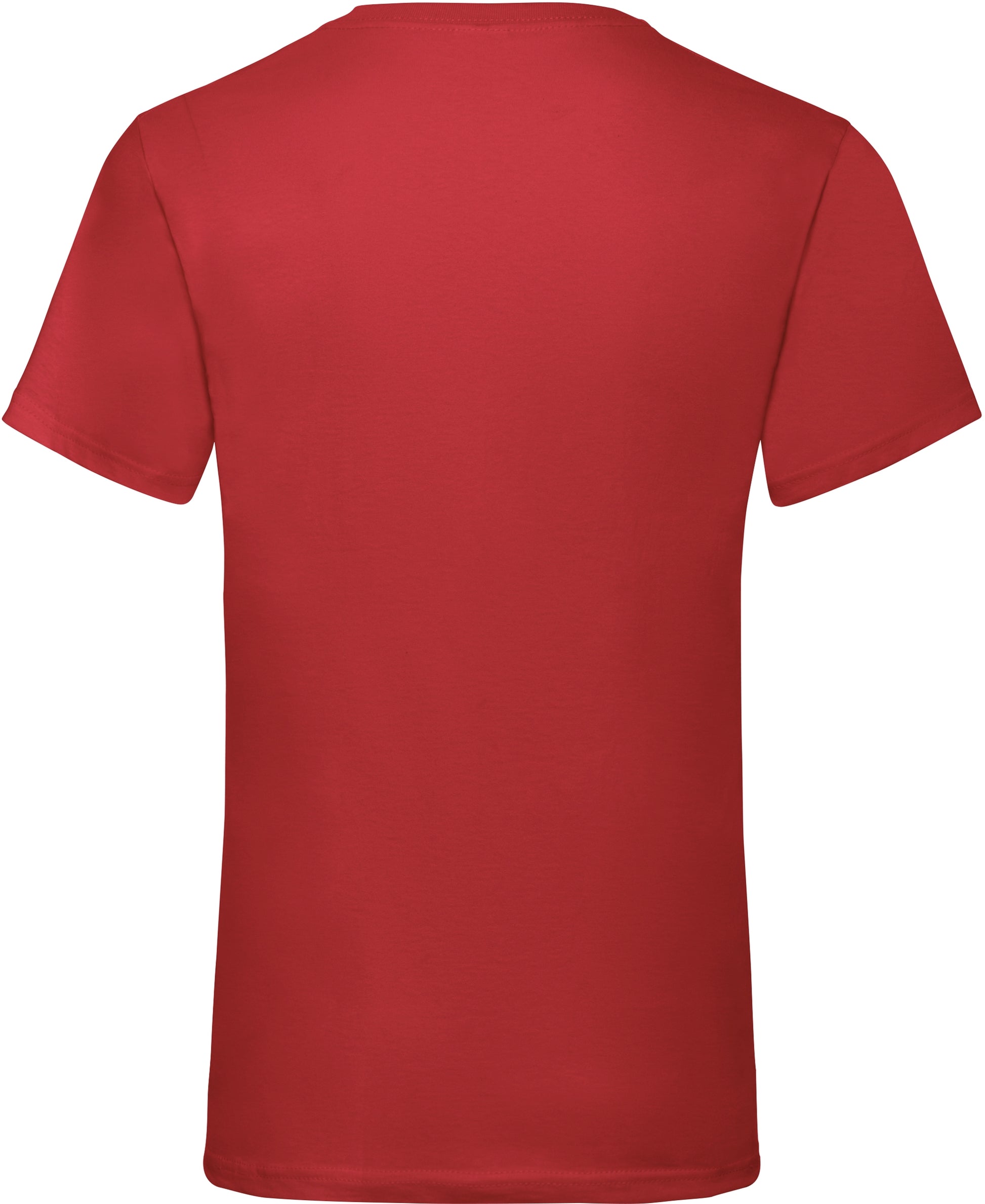 Valueweight V-Neck T