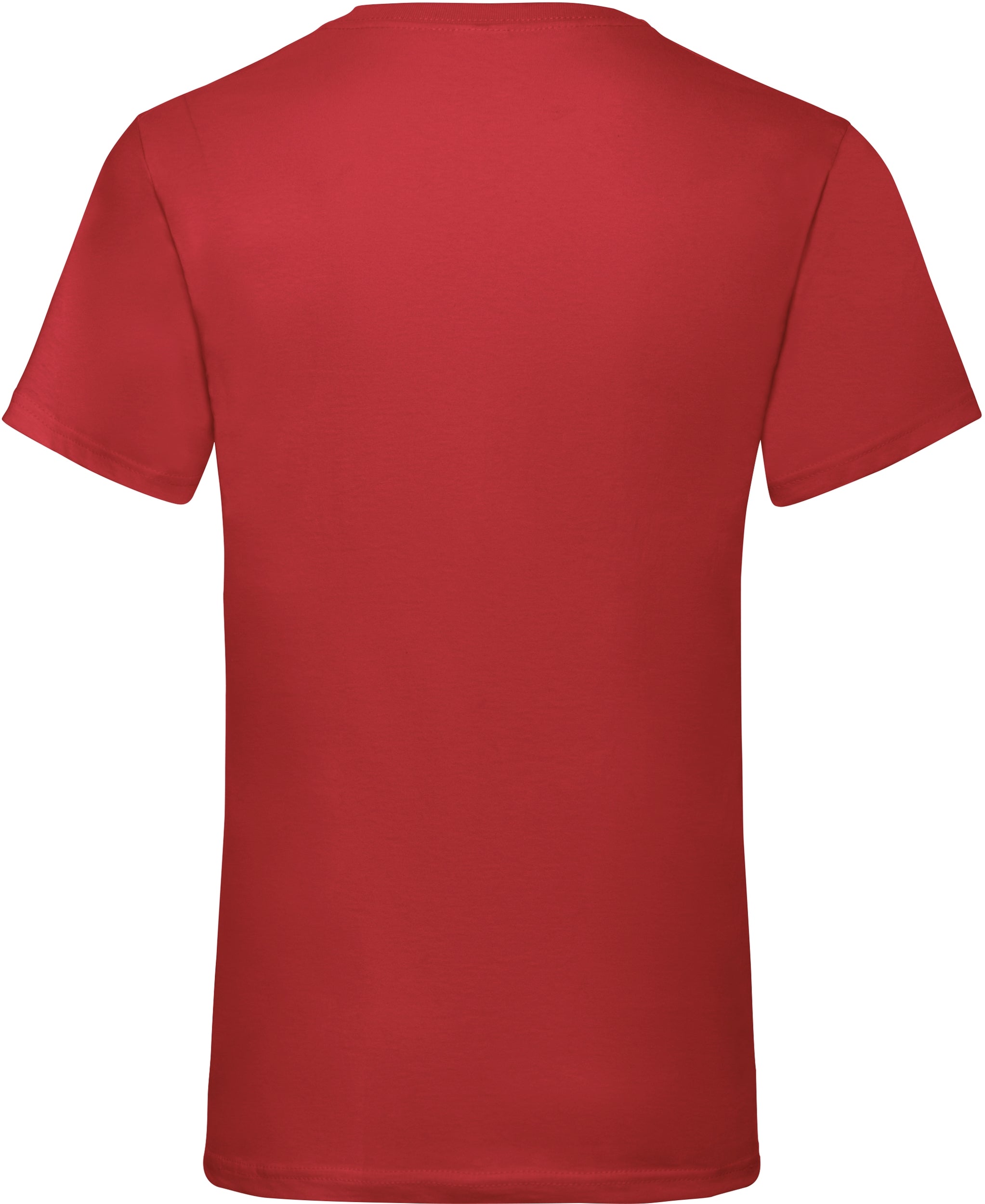 Valueweight V-Neck T