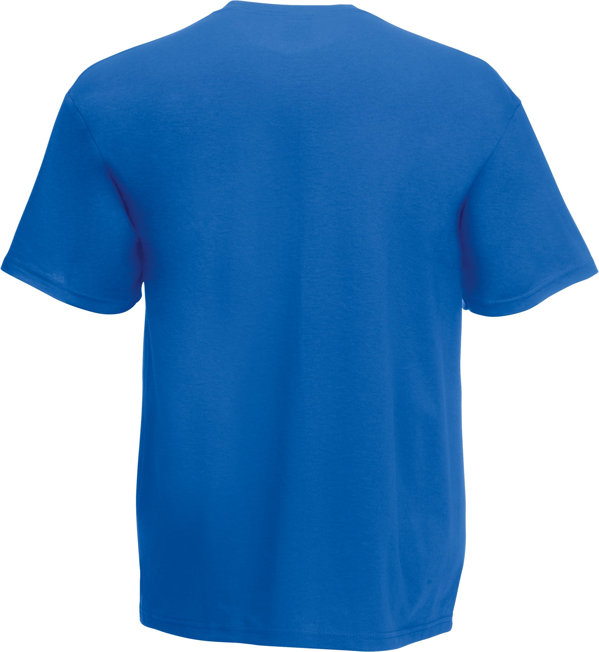 Valueweight V-Neck T
