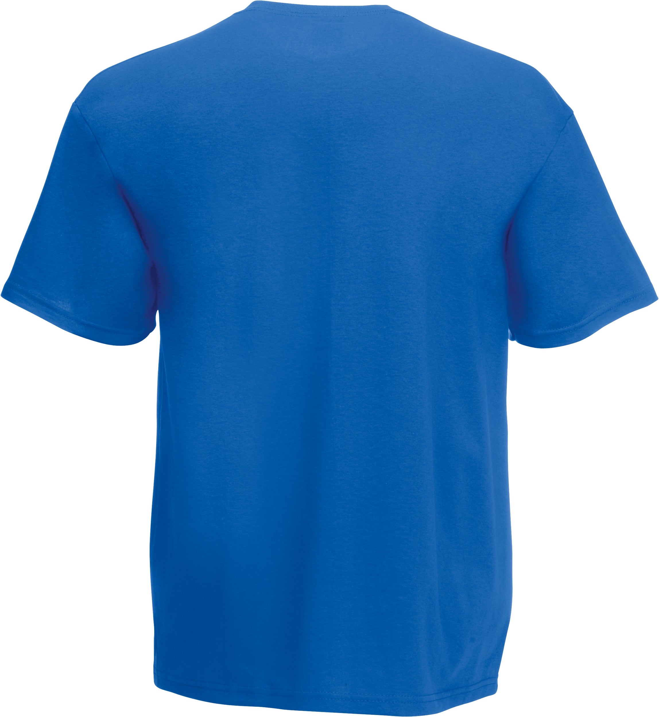Valueweight V-Neck T