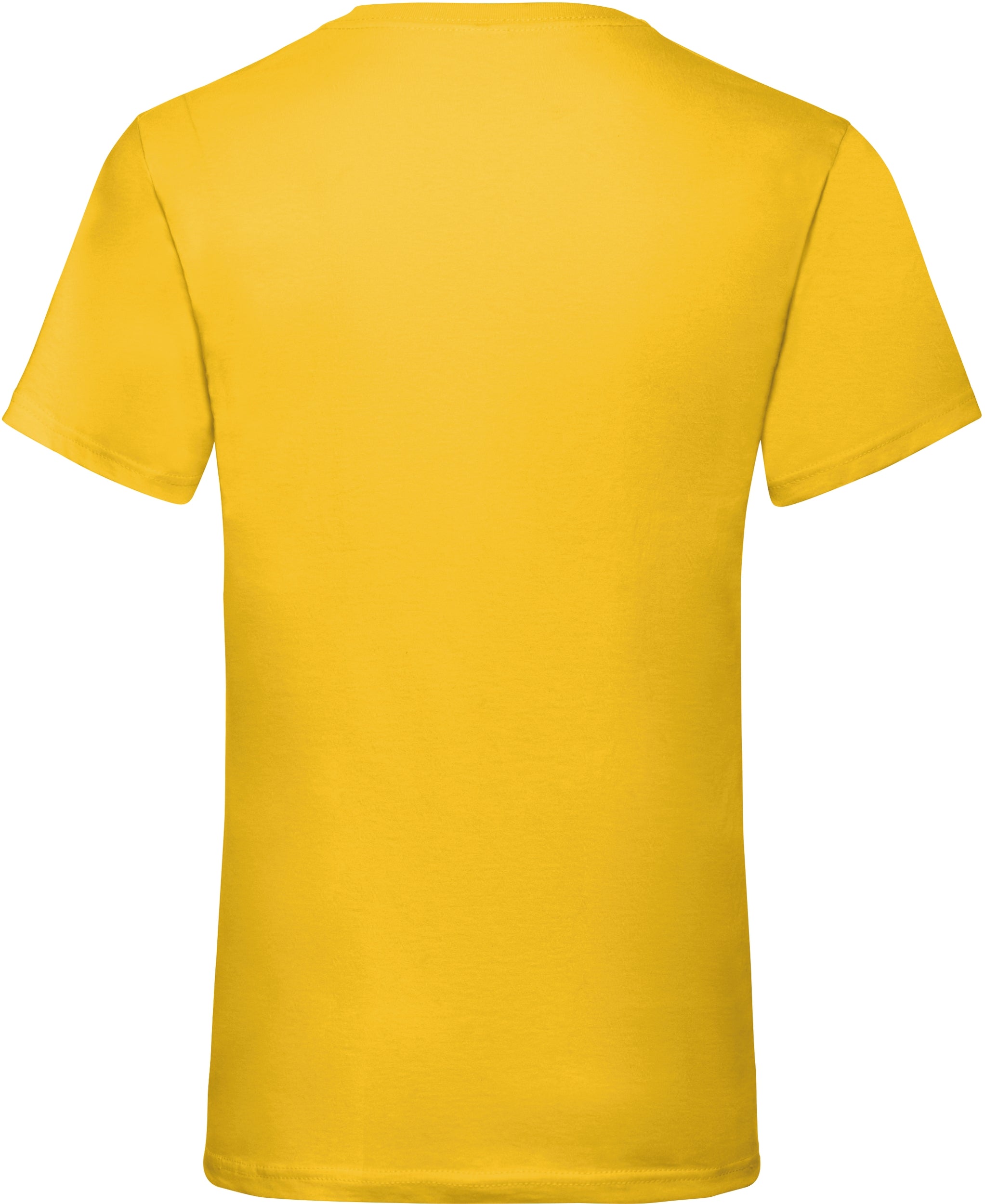 Valueweight V-Neck T