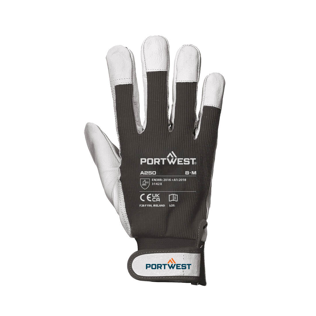 Tergsus Handschoen