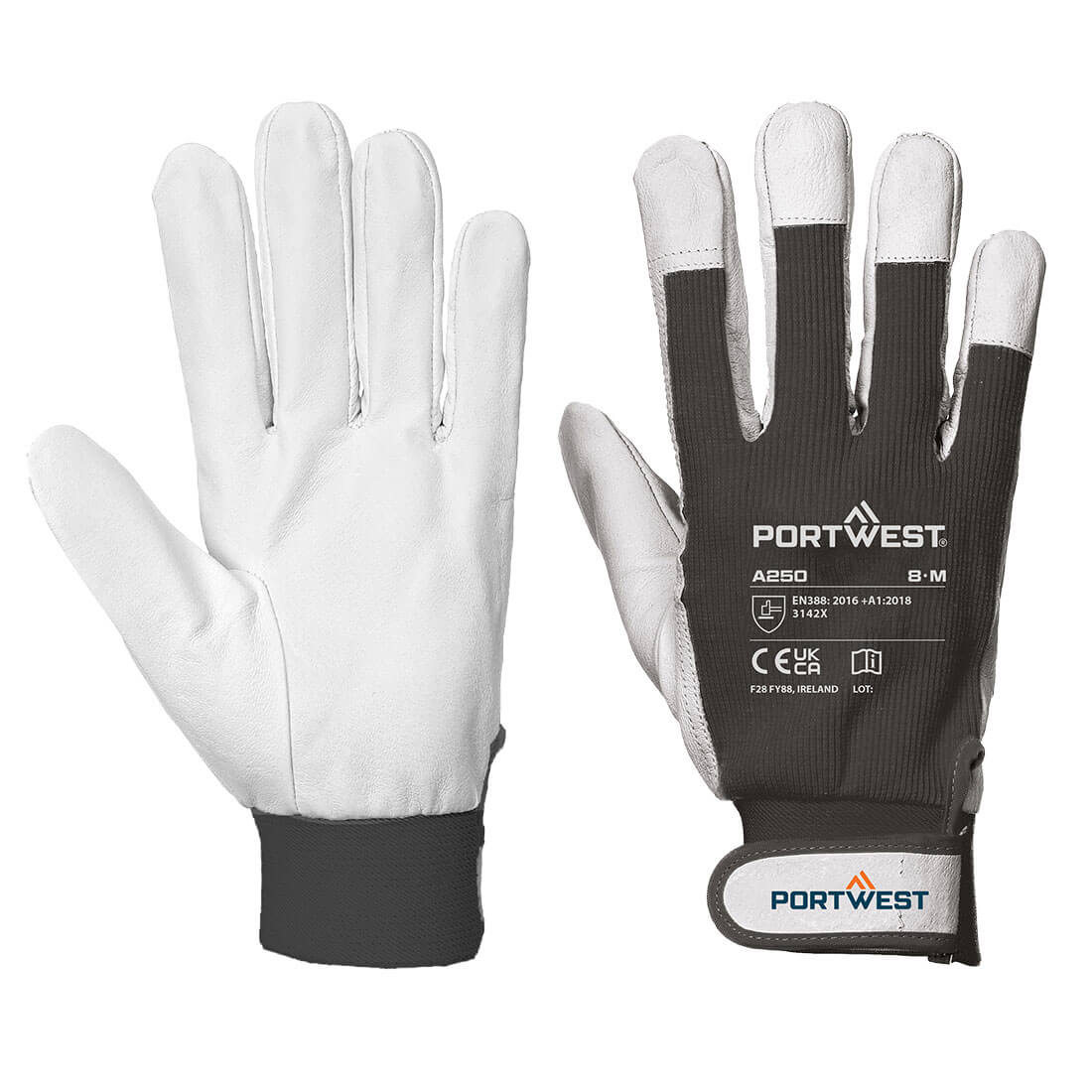 Tergsus Handschoen