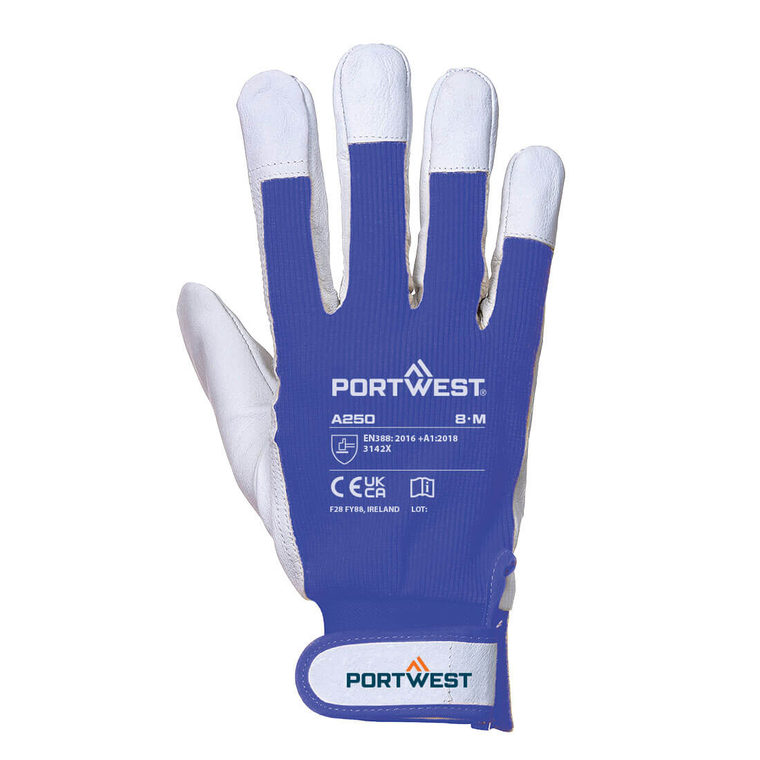 Tergsus Handschoen