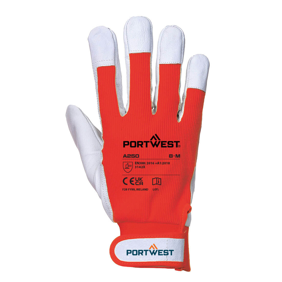 Tergsus Handschoen