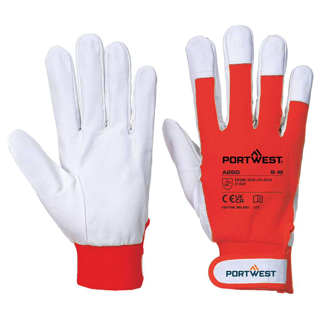 Tergsus Handschoen