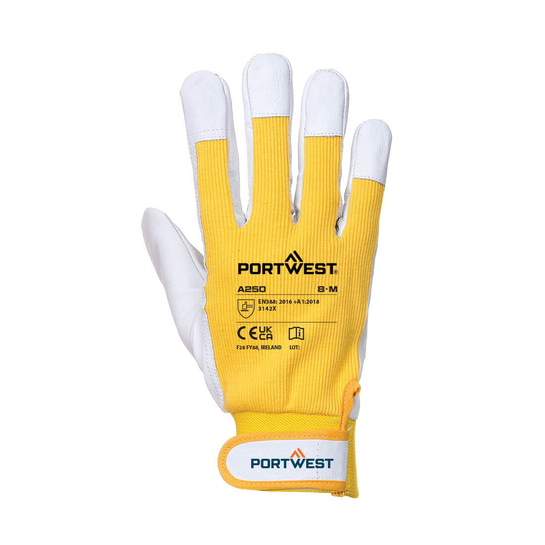 Tergsus Handschoen