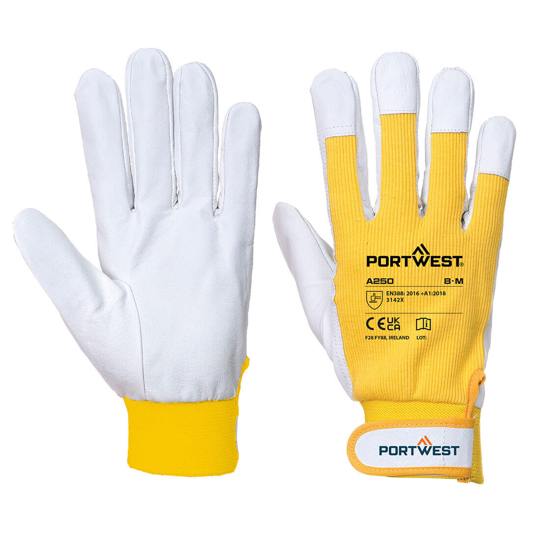 Tergsus Handschoen
