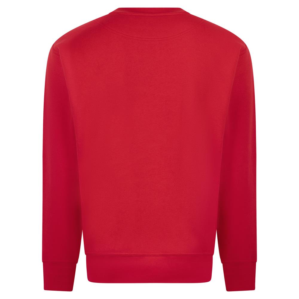 B2B Round neck sweater Nick