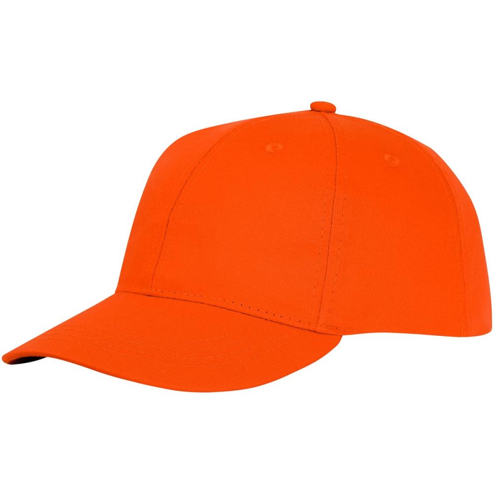 6 panel cap