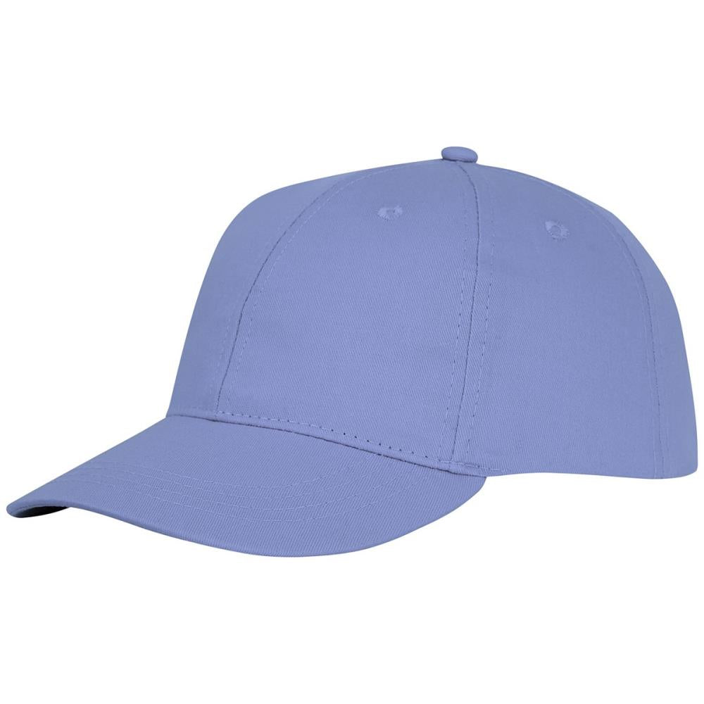 6 panel cap