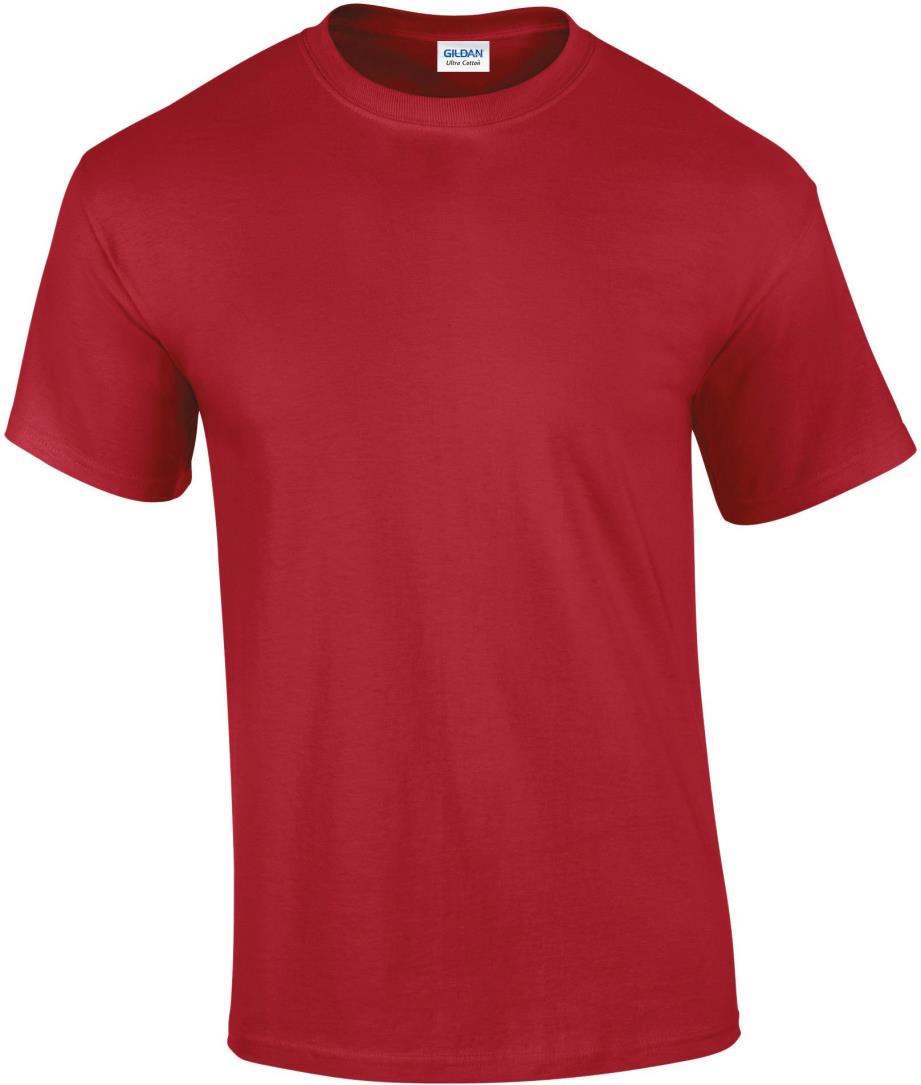 Ultra Cotton Classic Fit Adult T-shirt
