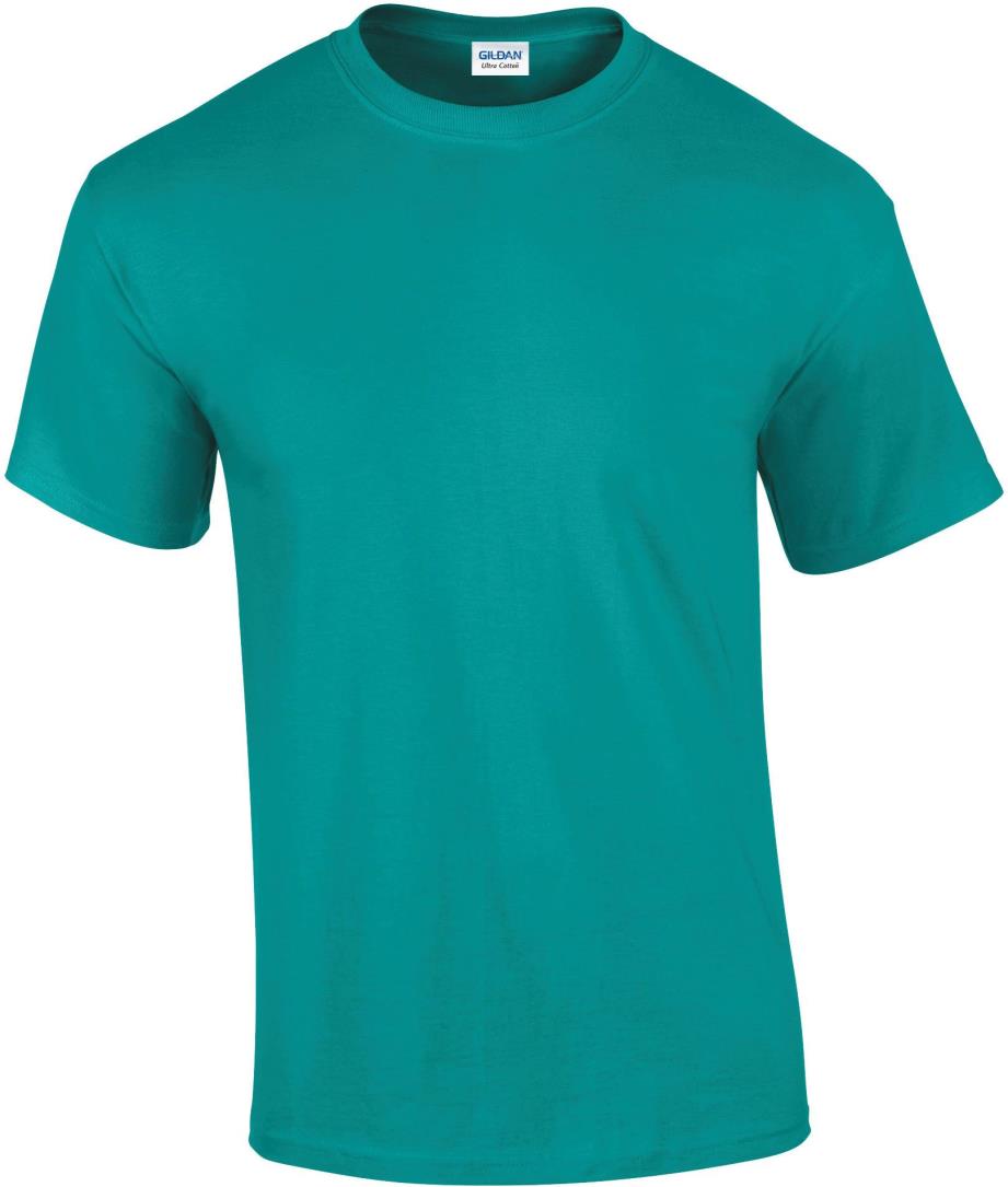 Ultra Cotton Classic Fit Adult T-shirt