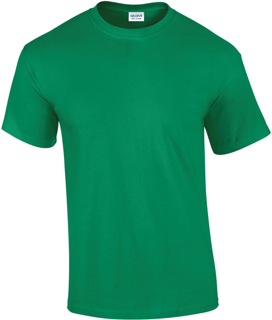 Ultra Cotton Classic Fit Adult T-shirt