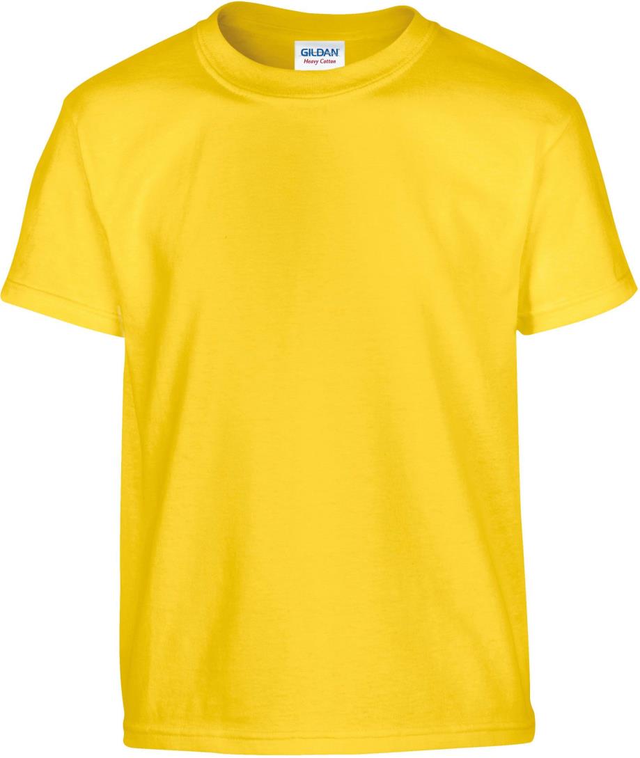 Heavy Cotton Classic Fit Youth T-shirt