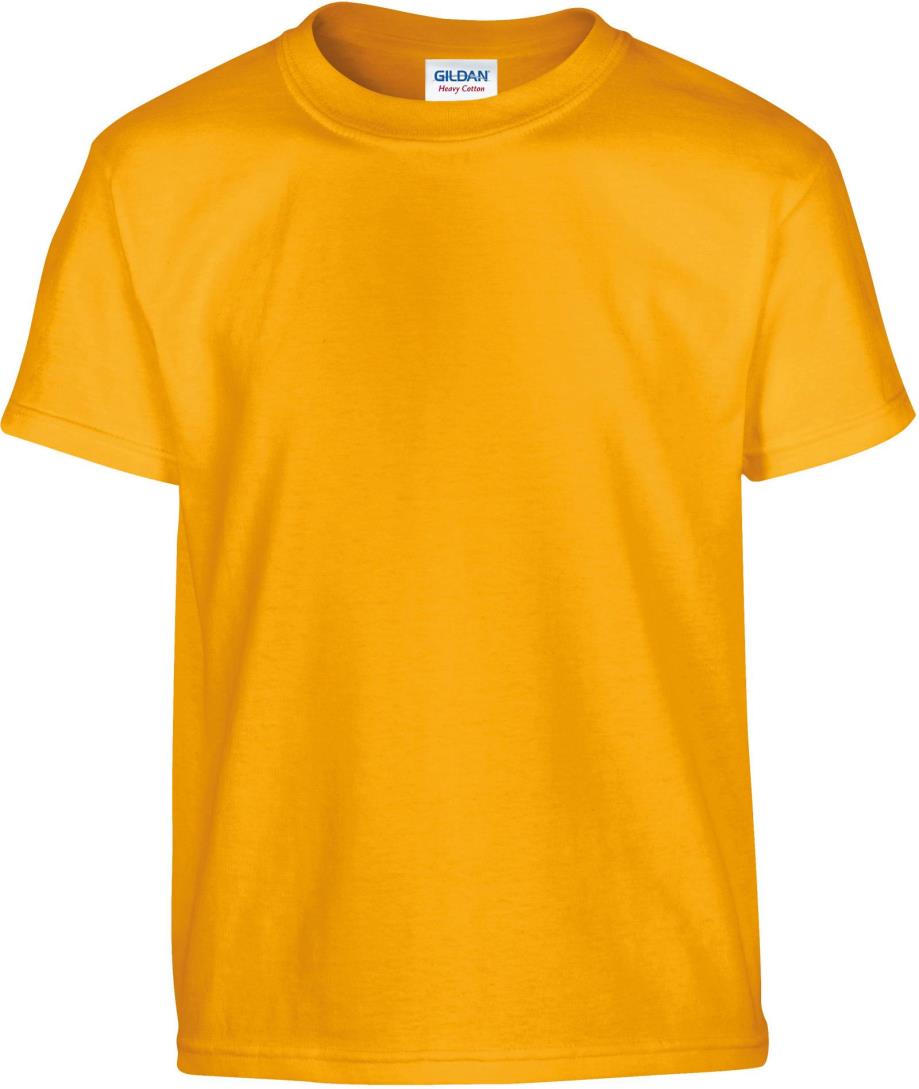 Heavy Cotton Classic Fit Youth T-shirt