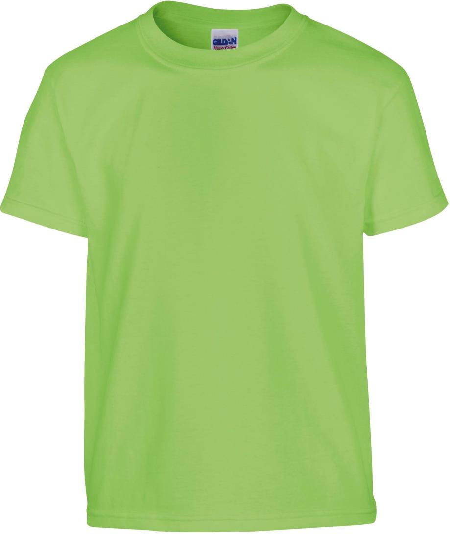 Heavy Cotton Classic Fit Youth T-shirt