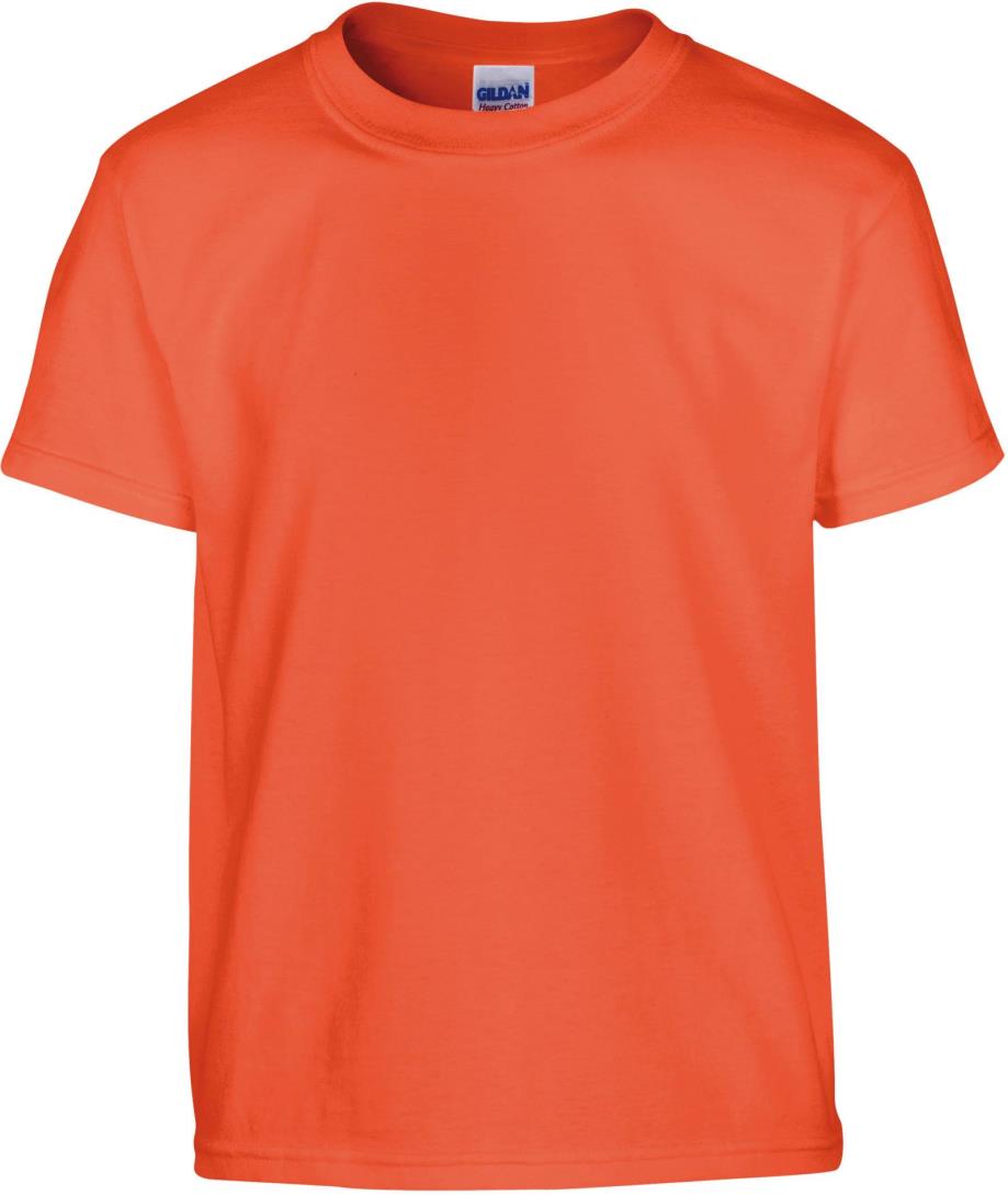 Heavy Cotton Classic Fit Youth T-shirt