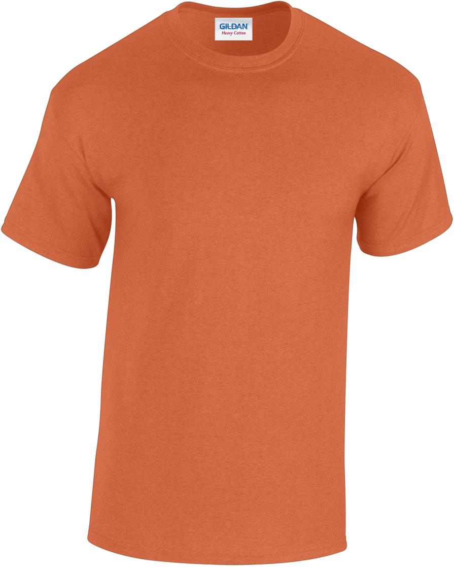 Heavy Cotton Classic Fit Adult T-shirt