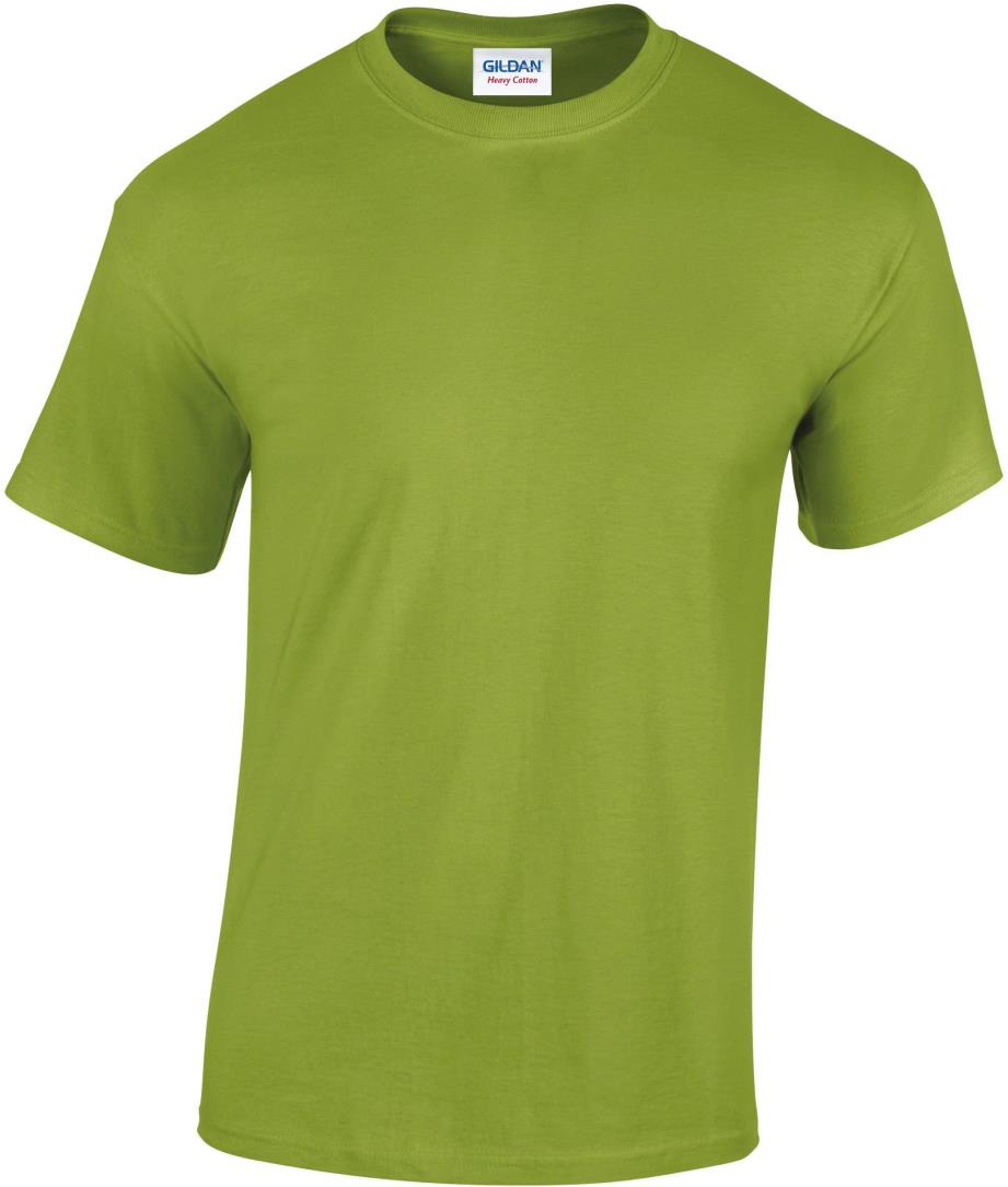 Heavy Cotton Classic Fit Adult T-shirt