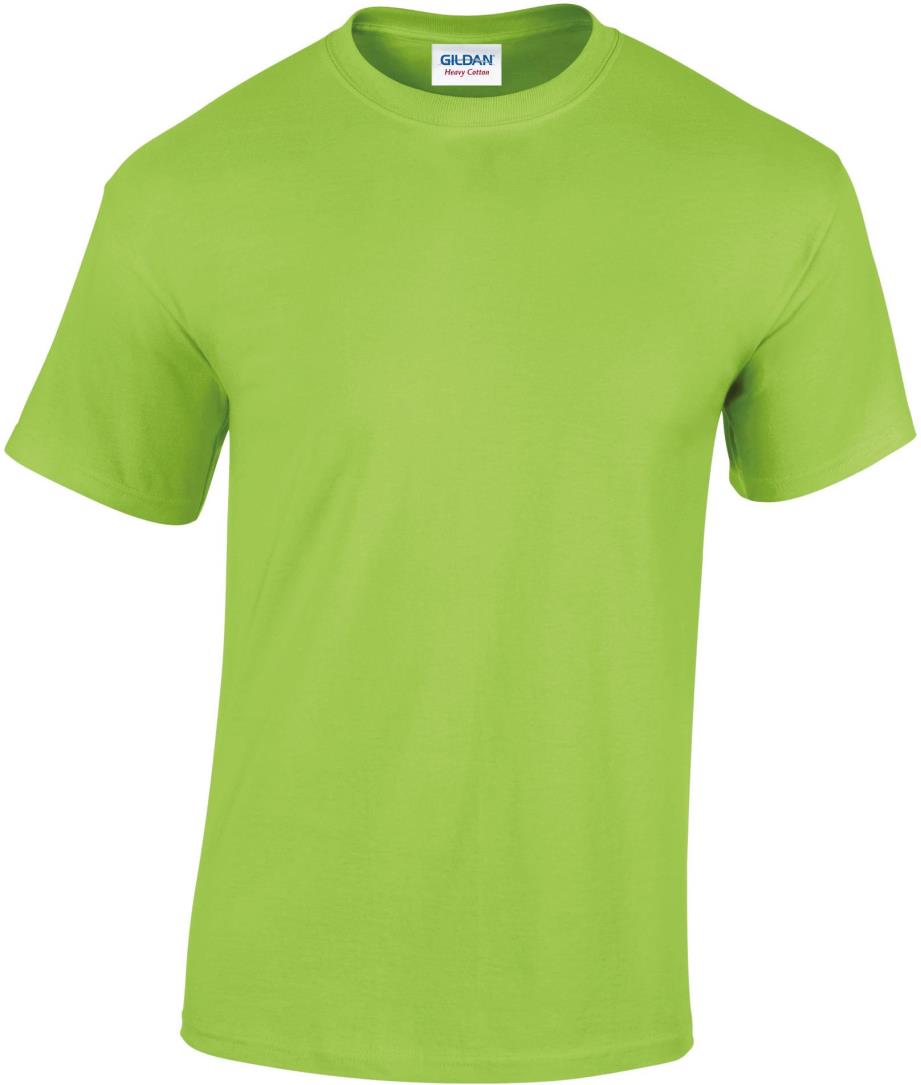 Heavy Cotton Classic Fit Adult T-shirt