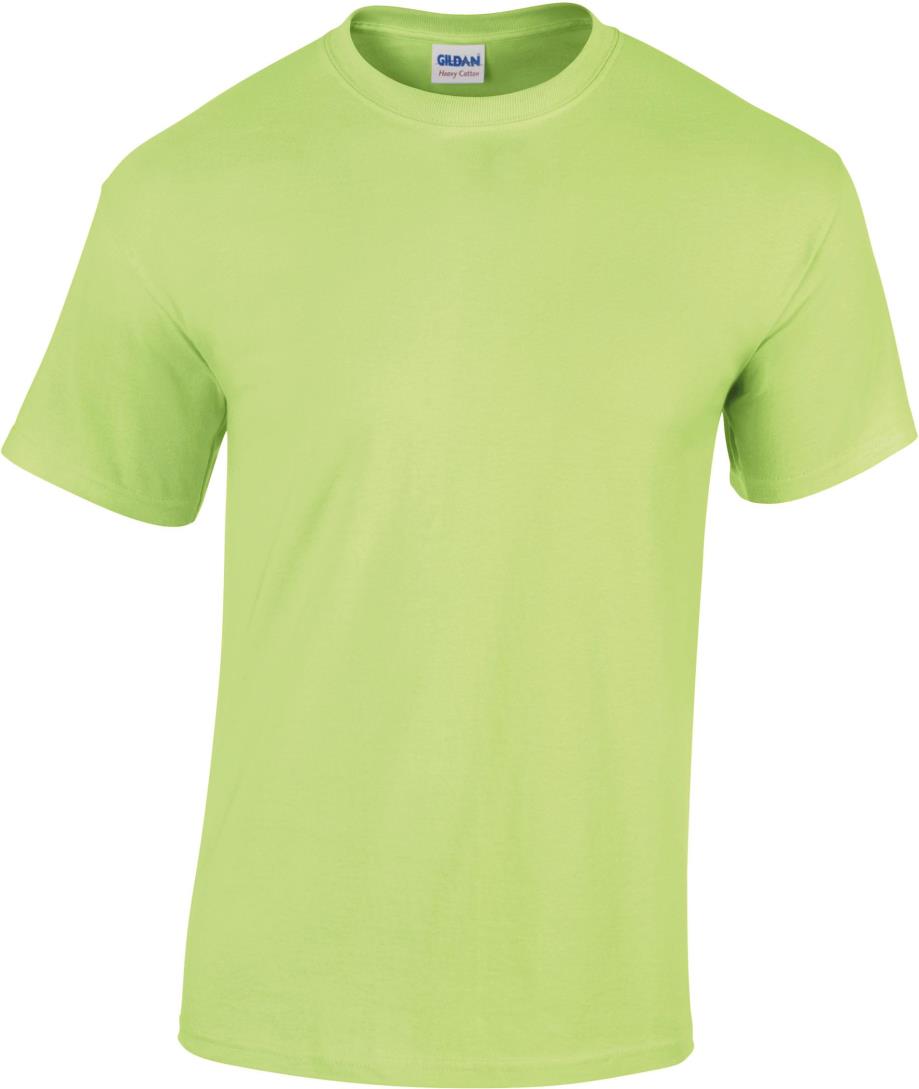 Heavy Cotton Classic Fit Adult T-shirt