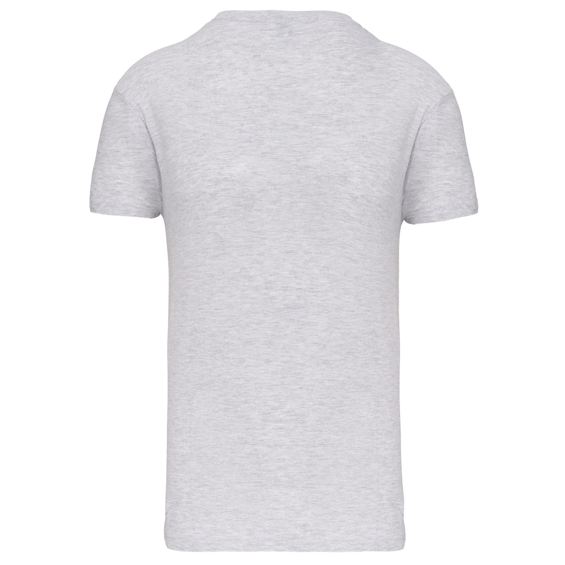 Heren-t-shirt BIO150 IC V-hals