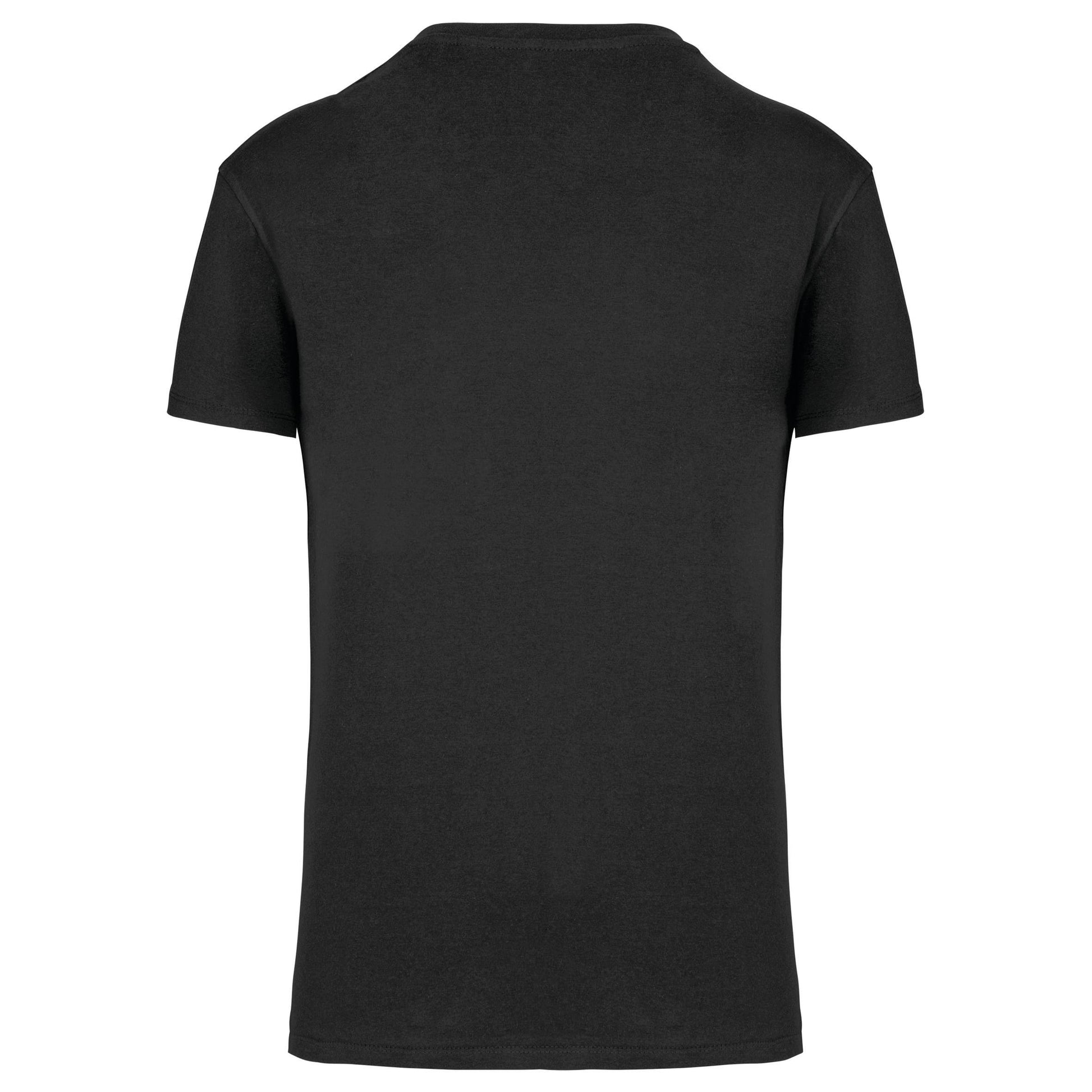 Heren-t-shirt BIO150 IC V-hals