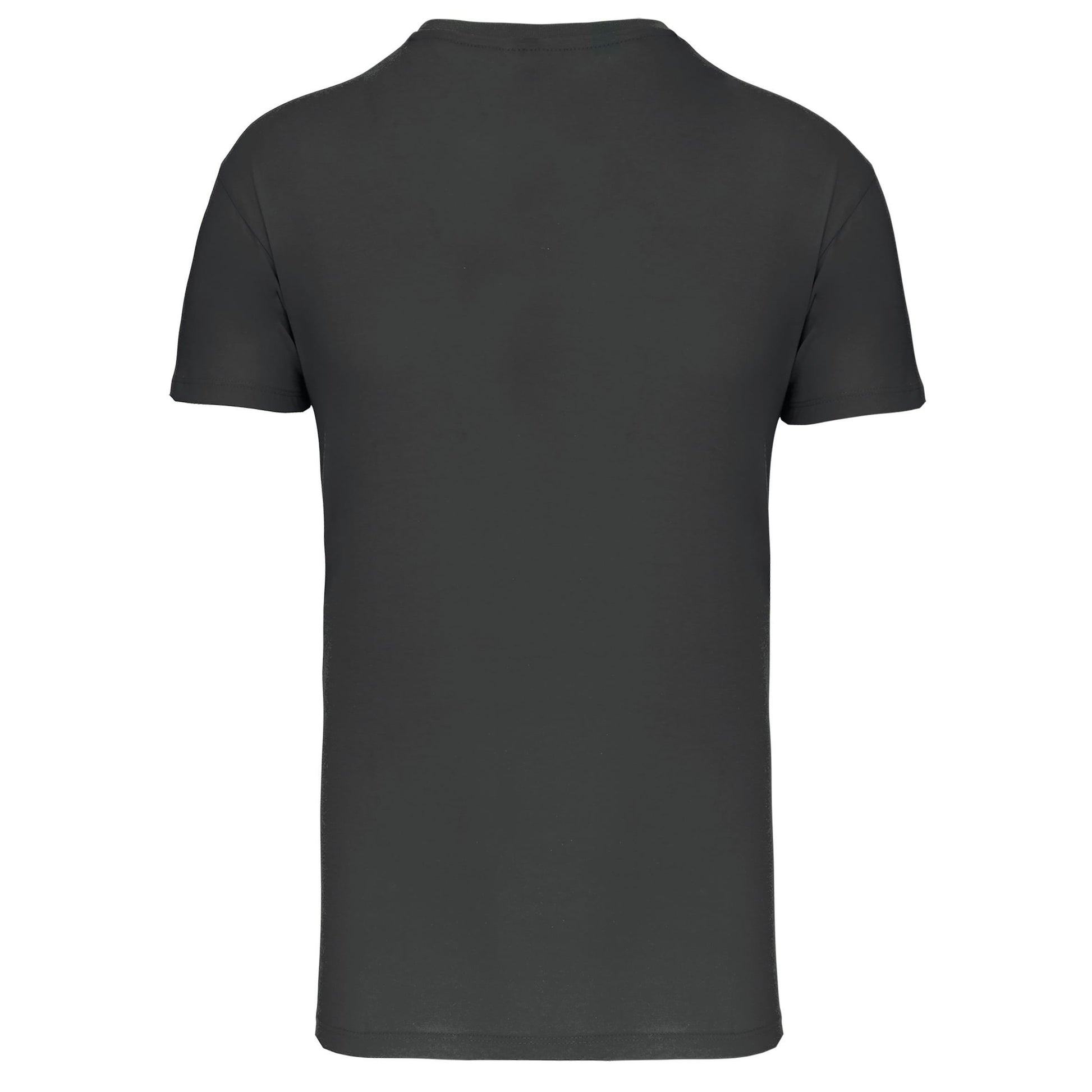 Heren-t-shirt BIO150 IC V-hals