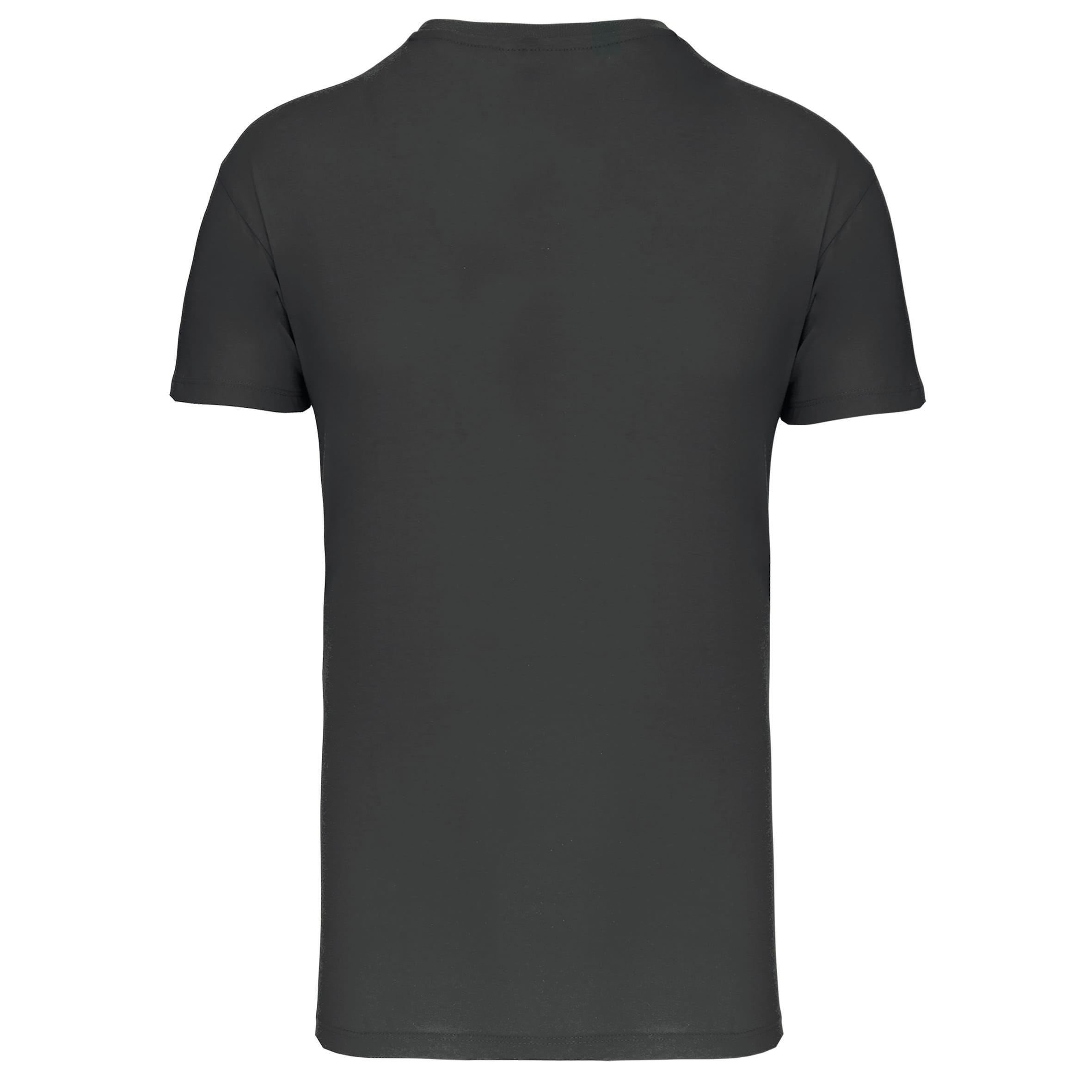 Heren-t-shirt BIO150 IC V-hals
