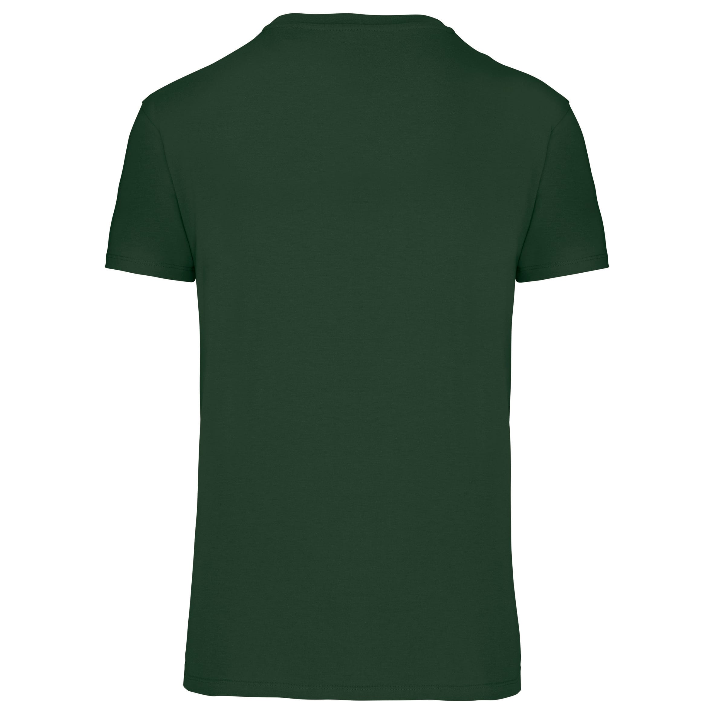 Heren-t-shirt BIO150 IC V-hals
