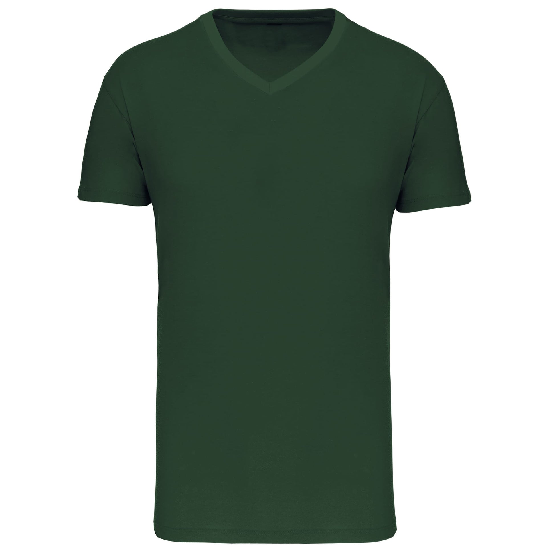 Heren-t-shirt BIO150 IC V-hals