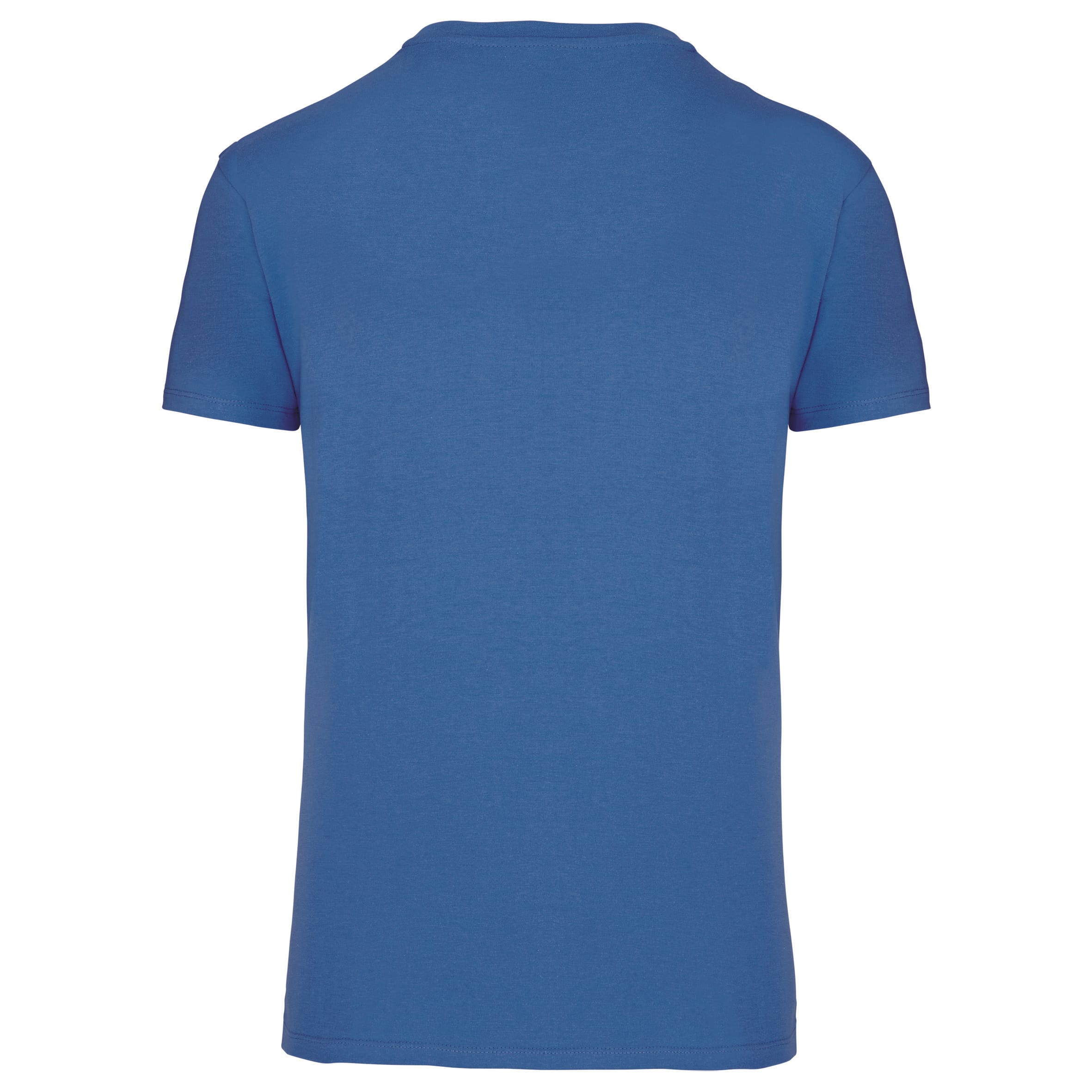 Heren-t-shirt BIO150 IC V-hals