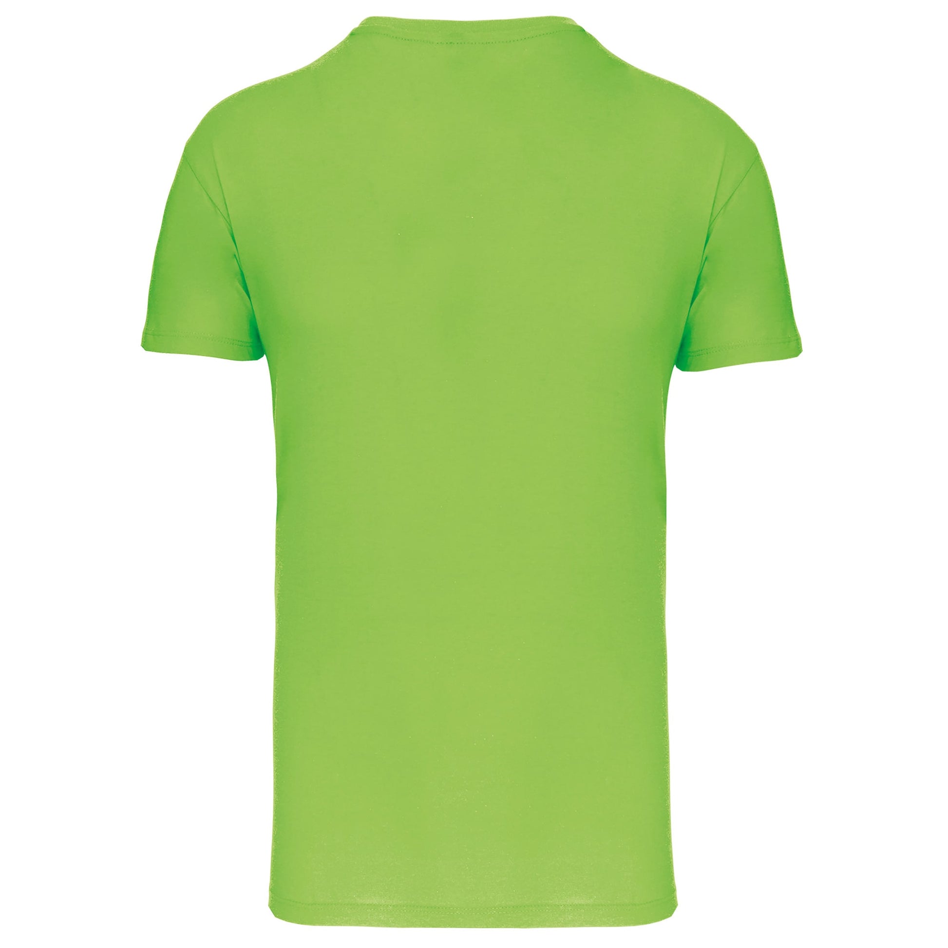 Heren-t-shirt BIO150 IC V-hals