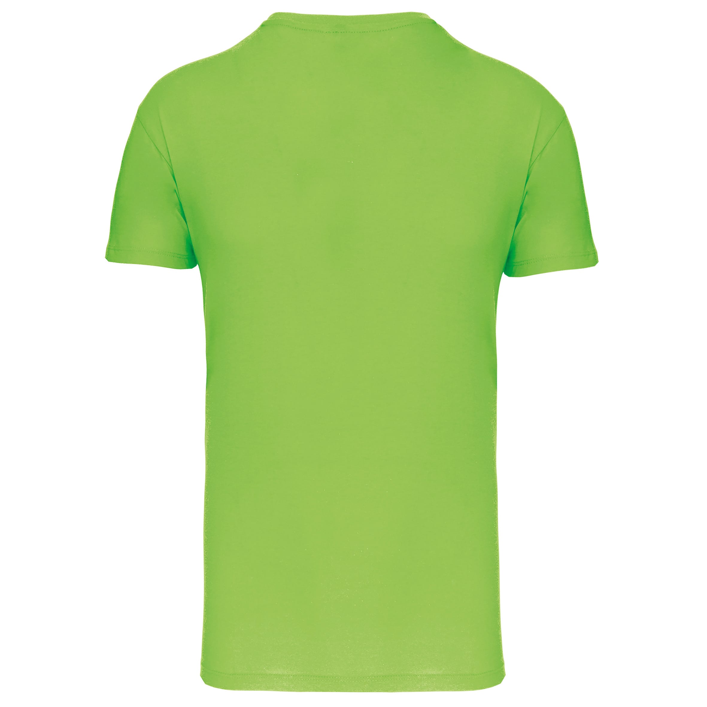 Heren-t-shirt BIO150 IC V-hals