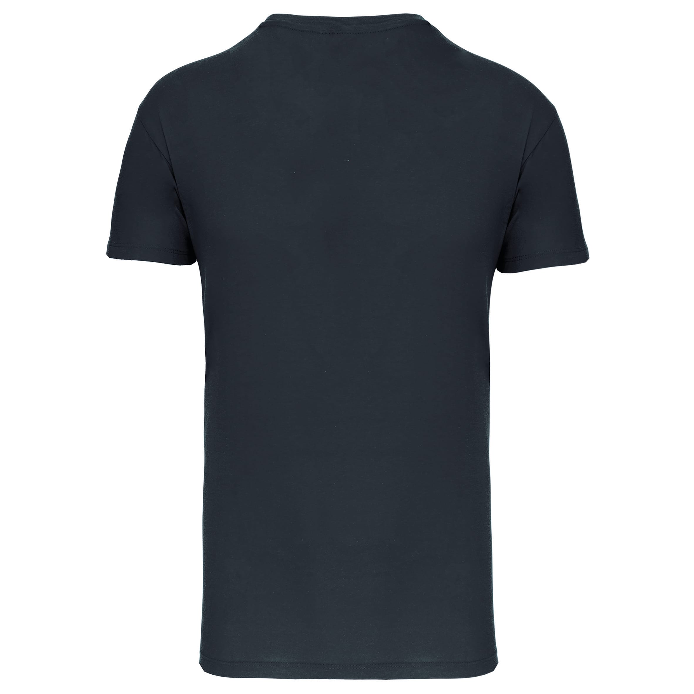 Heren-t-shirt BIO150 IC V-hals