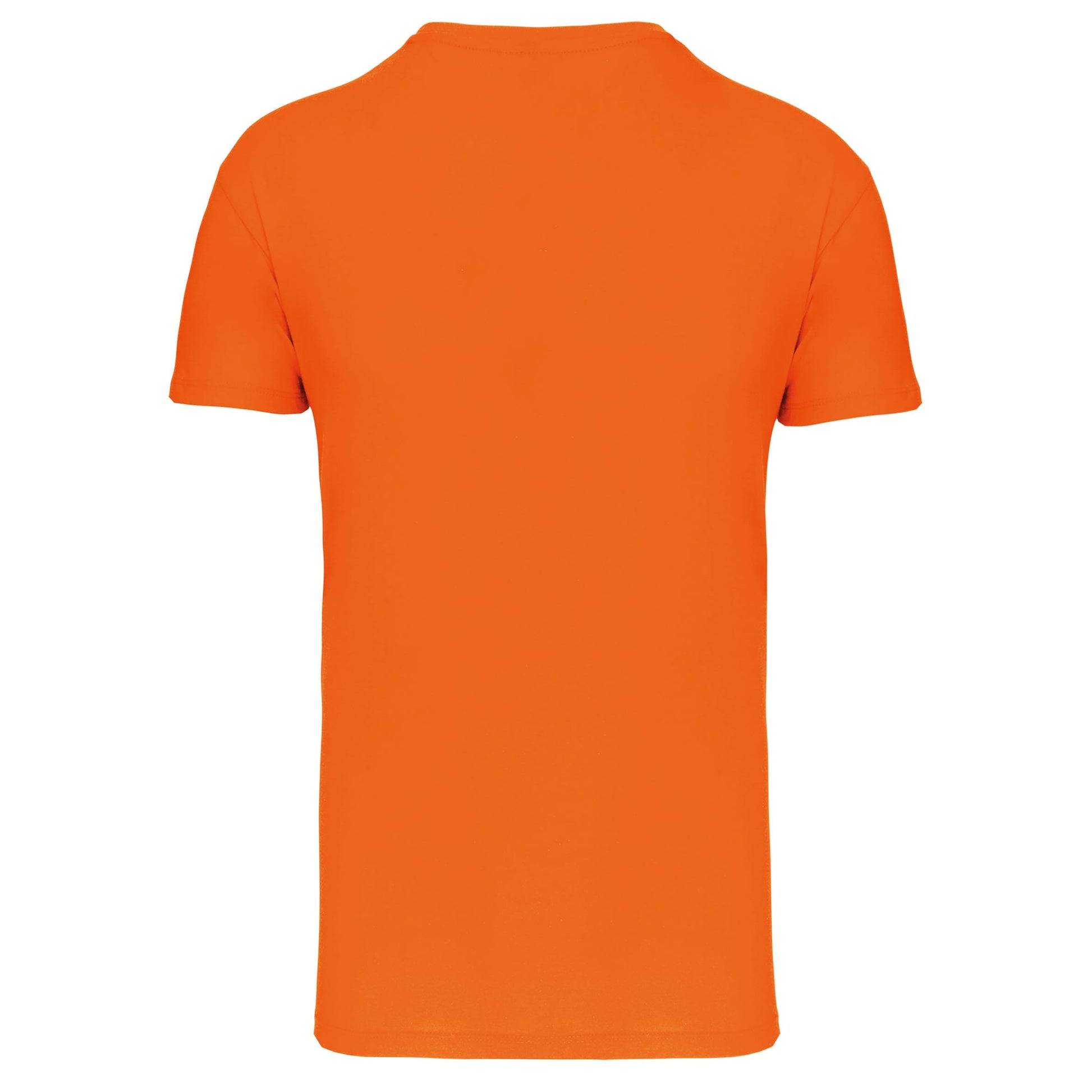 Heren-t-shirt BIO150 IC V-hals