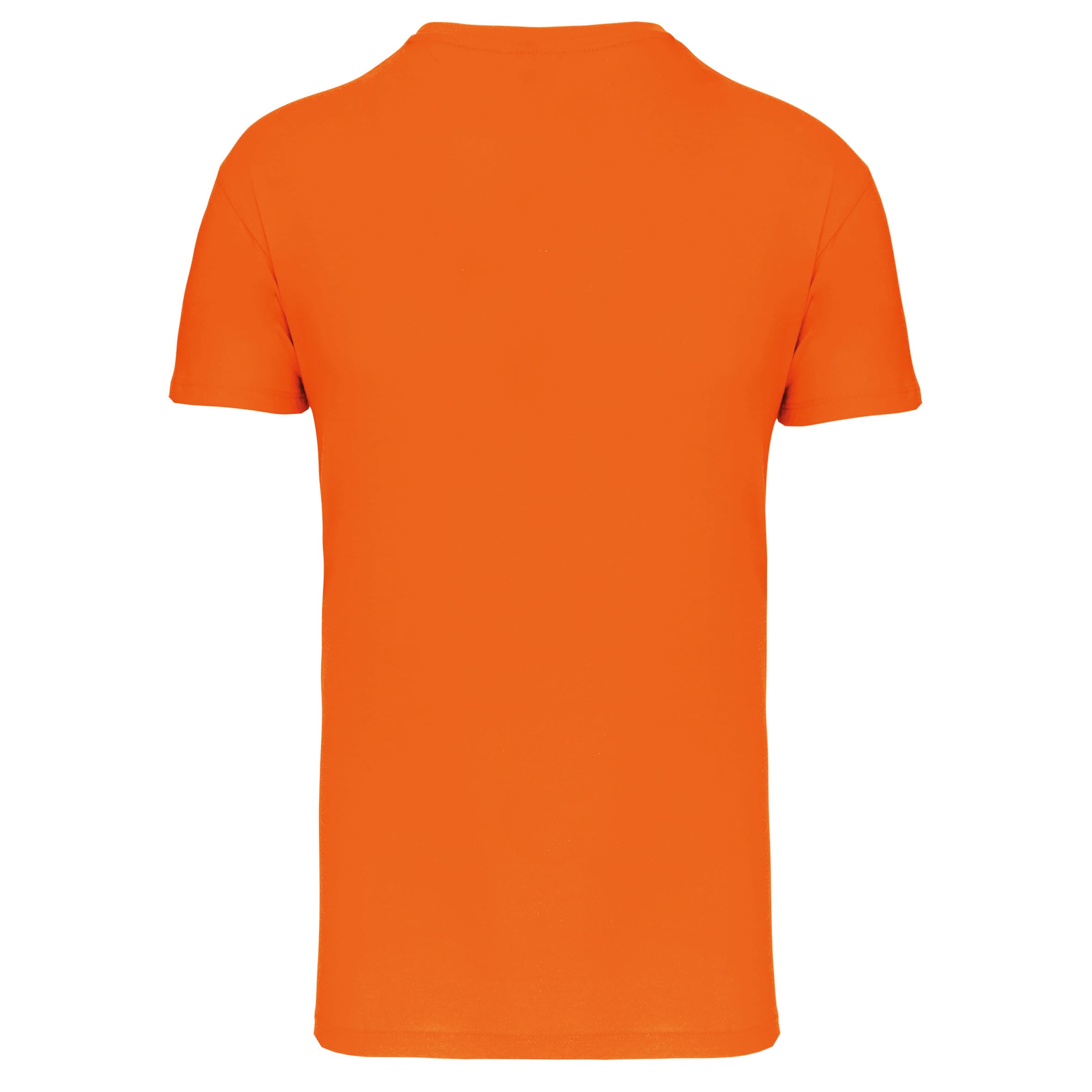 Heren-t-shirt BIO150 IC V-hals
