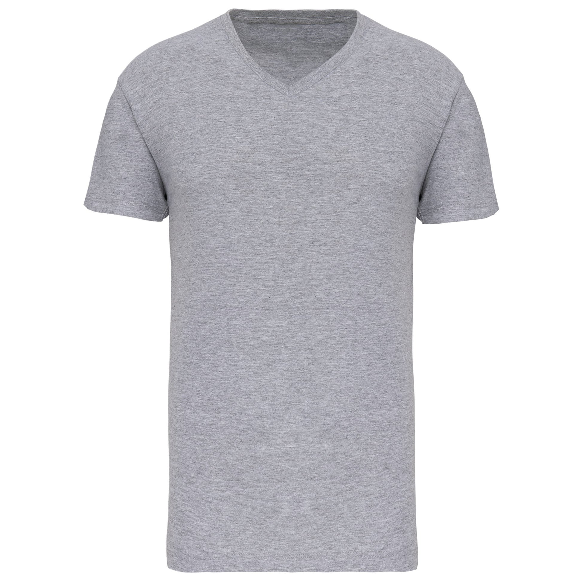 Heren-t-shirt BIO150 IC V-hals