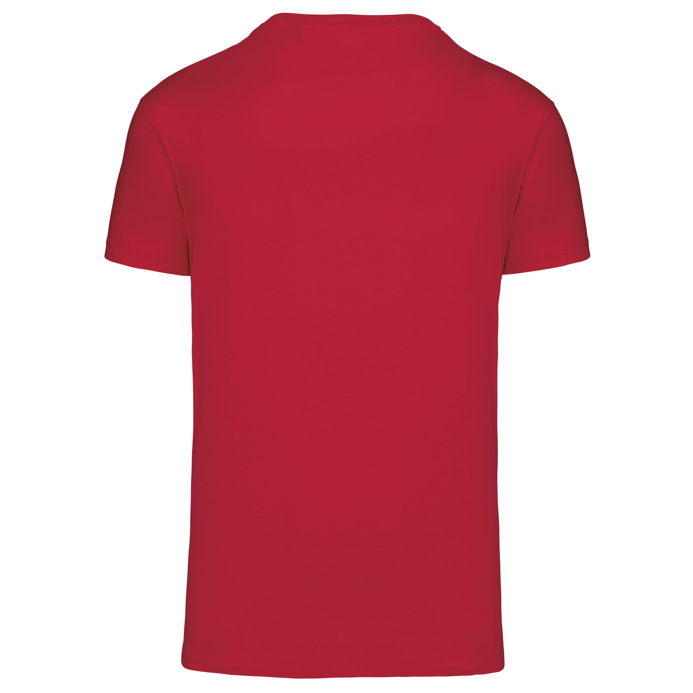 Heren-t-shirt BIO150 IC V-hals