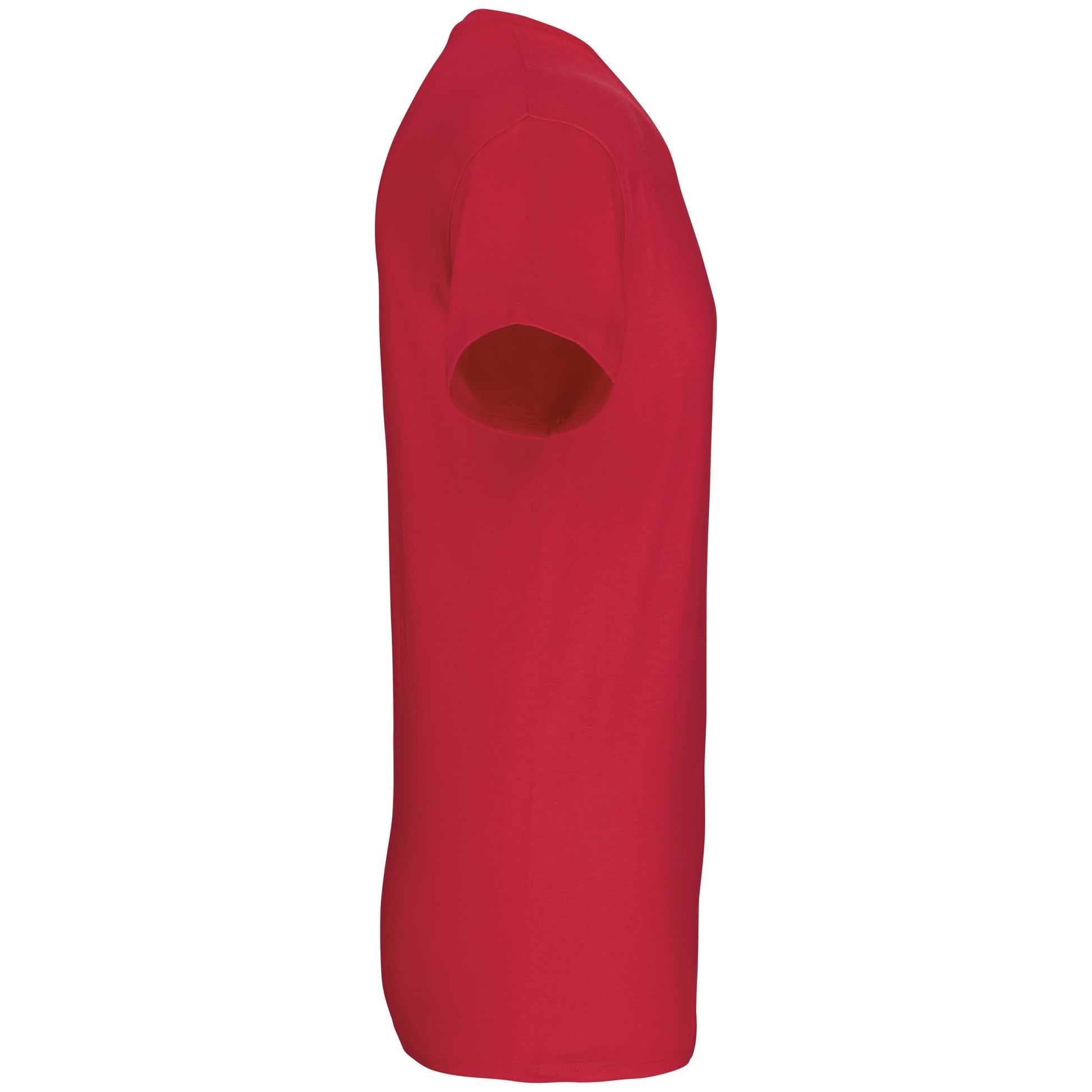 Heren-t-shirt BIO150 IC V-hals