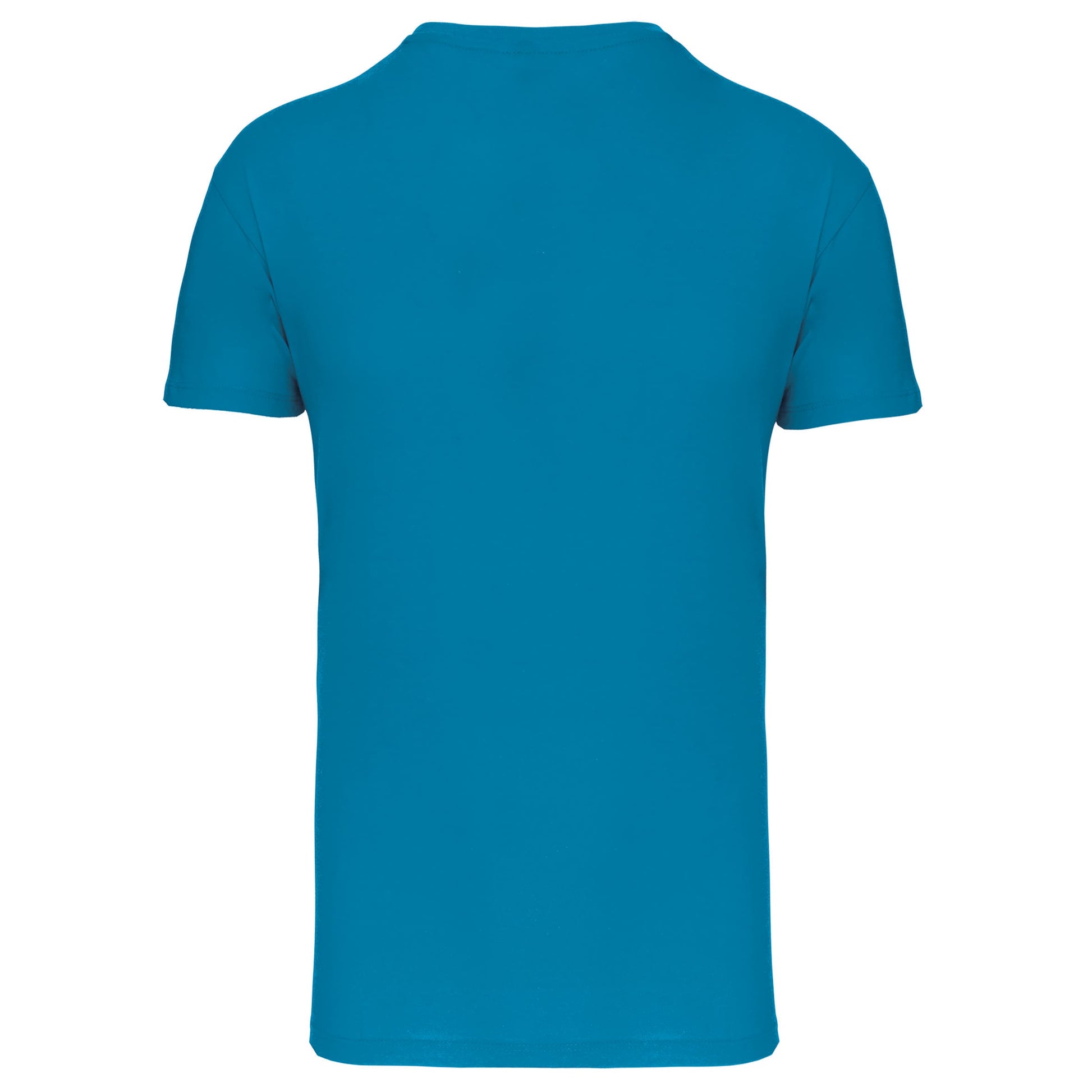 Heren-t-shirt BIO150 IC V-hals