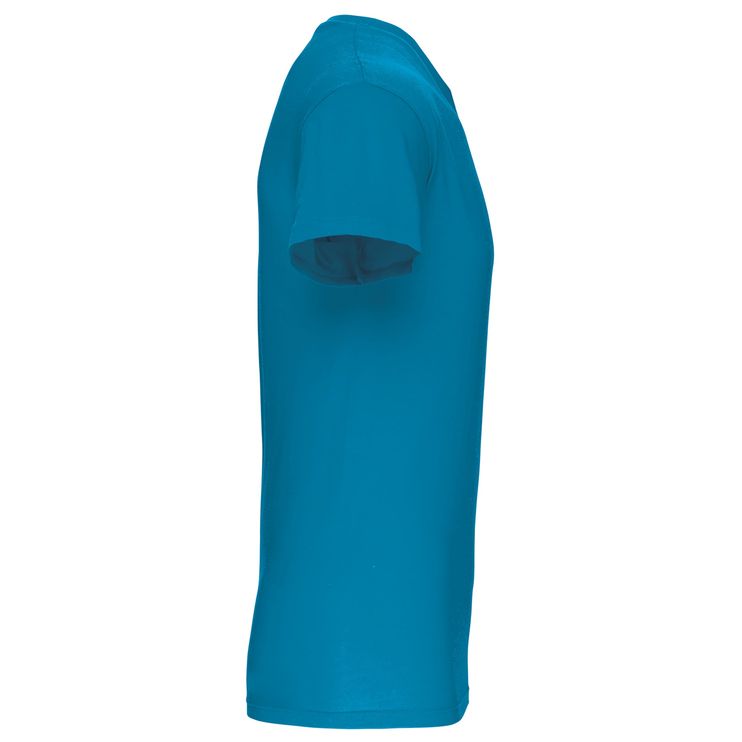 Heren-t-shirt BIO150 IC V-hals
